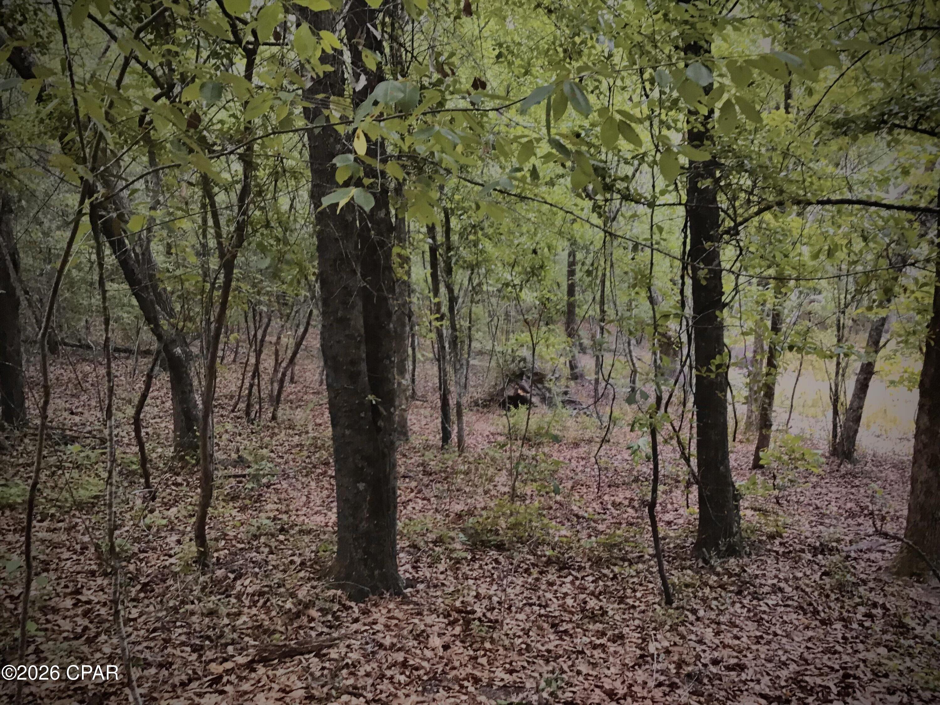 [No Recorded Subdiv] - Land