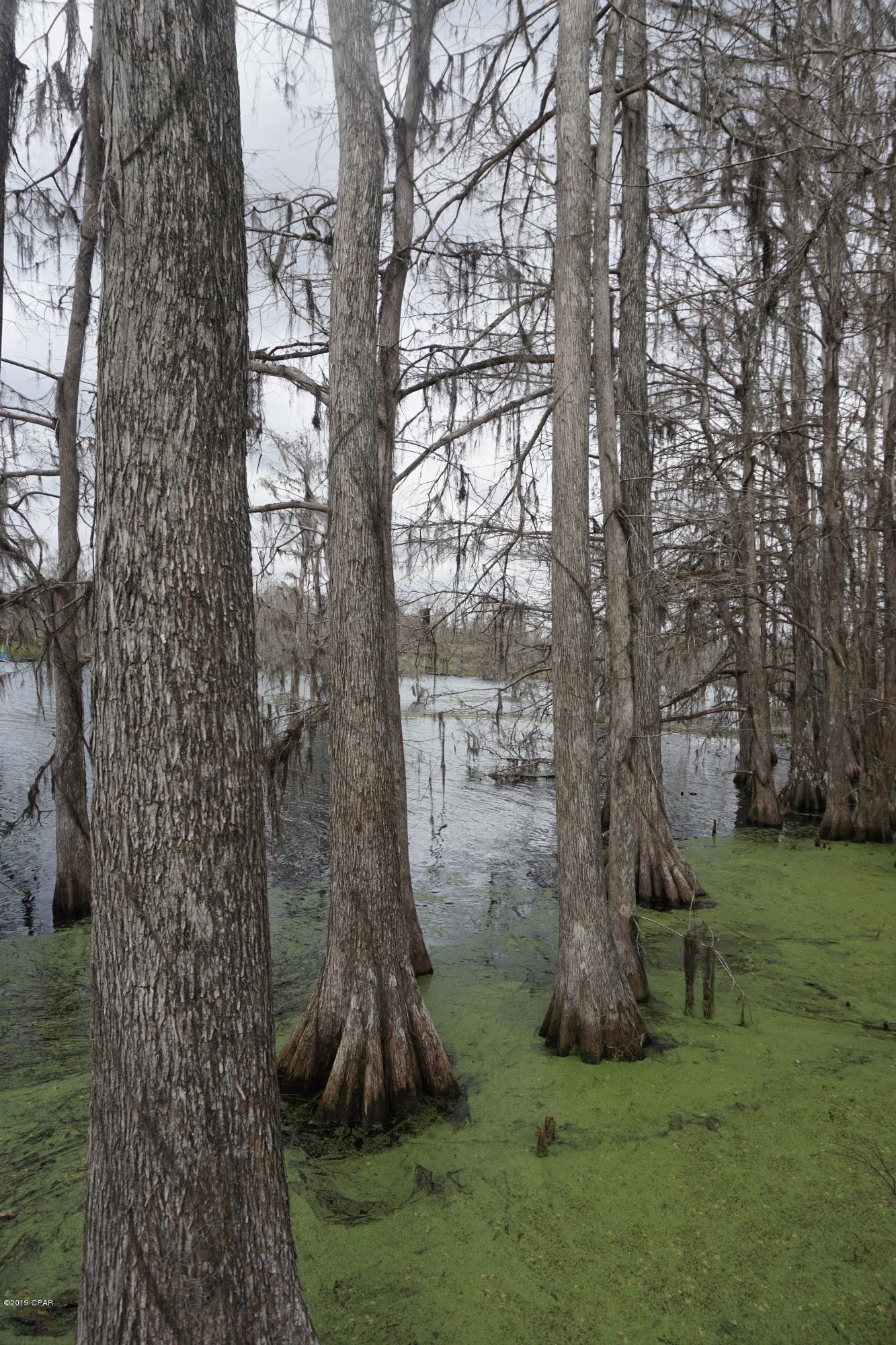 Indian Springs - Residential