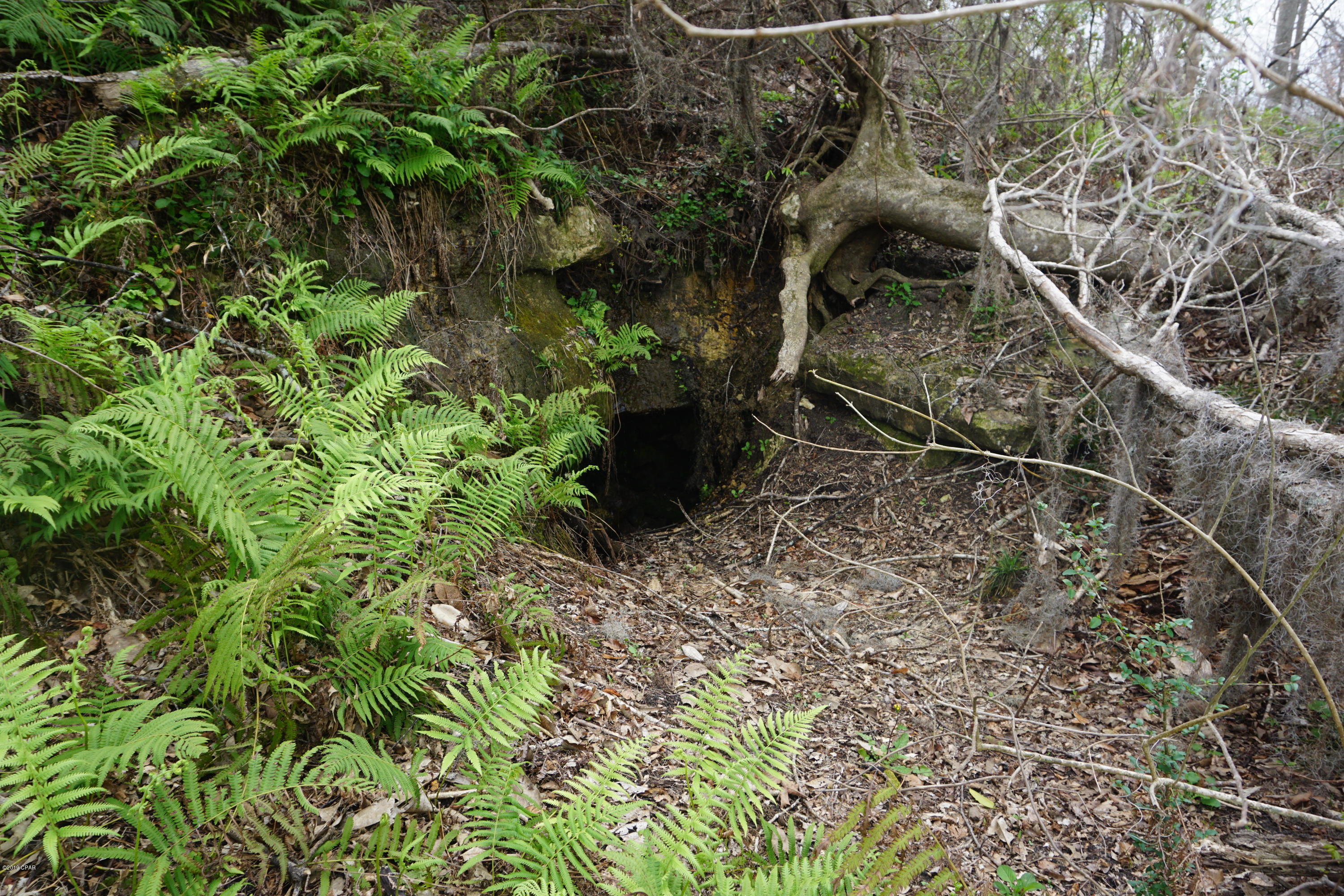 Indian Springs - Residential