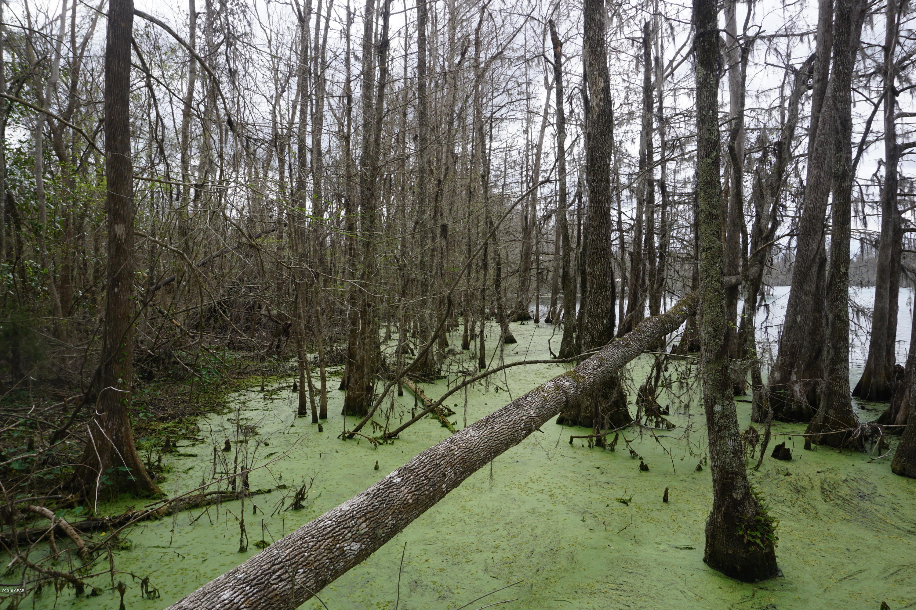 Indian Springs - Residential