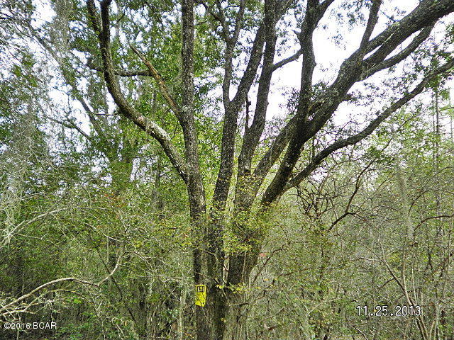 GREAT BUY ON THIS 21 ACRE PARCEL OF WOODED LAND, this property has many uses build your dream home in the middle of the 42 ac for solitude, has some wet areas which make the wildlife abundant, this property has access through Compass Lake in the Hills but is not part of the subdivision, if you are looking for a smaller parcel of land MLS number 249146 is part of the property. Please drive by and take a look at this property you will enjoy the trip.