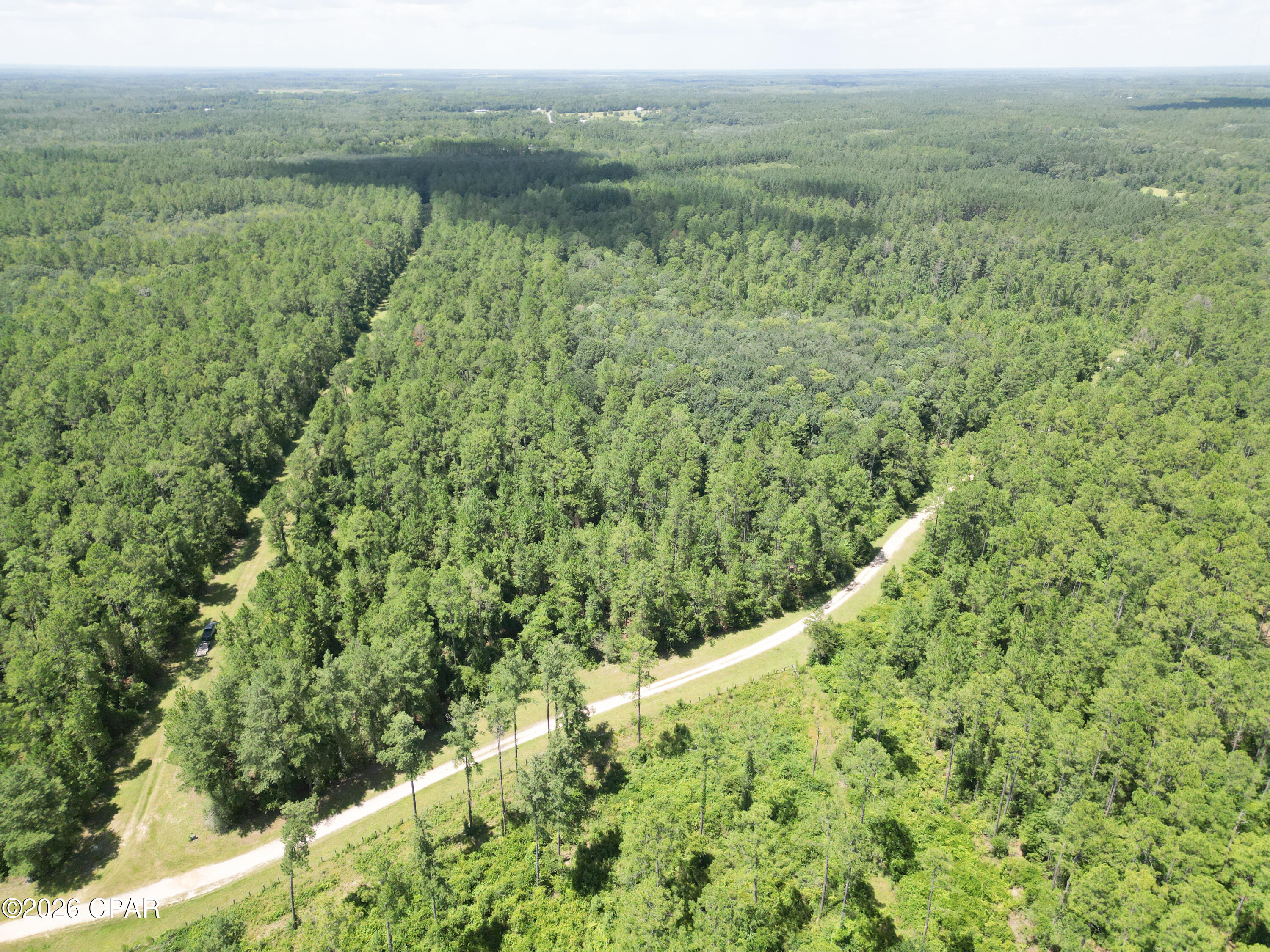 Canopy Crossing - Land