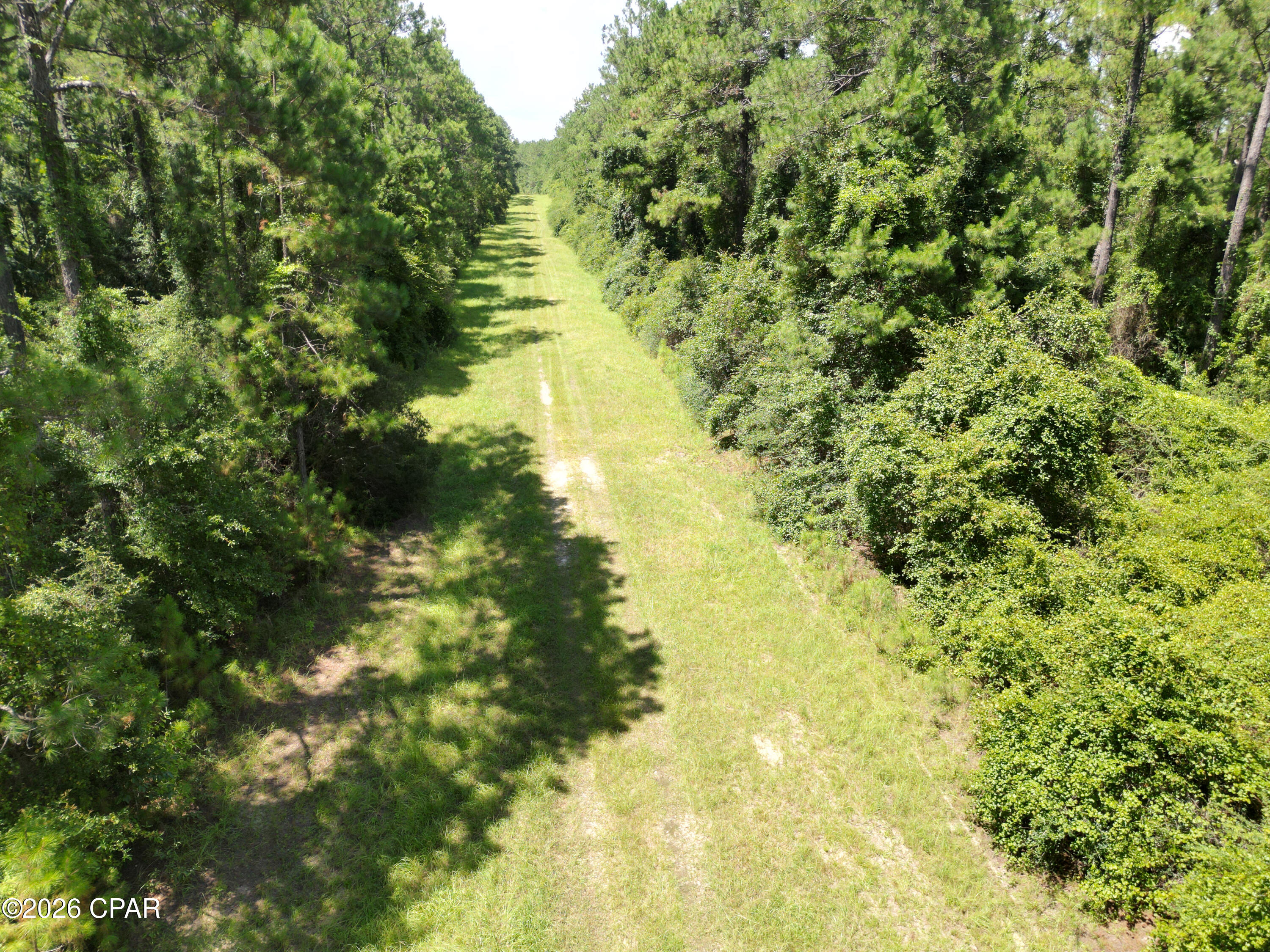 Canopy Crossing - Land