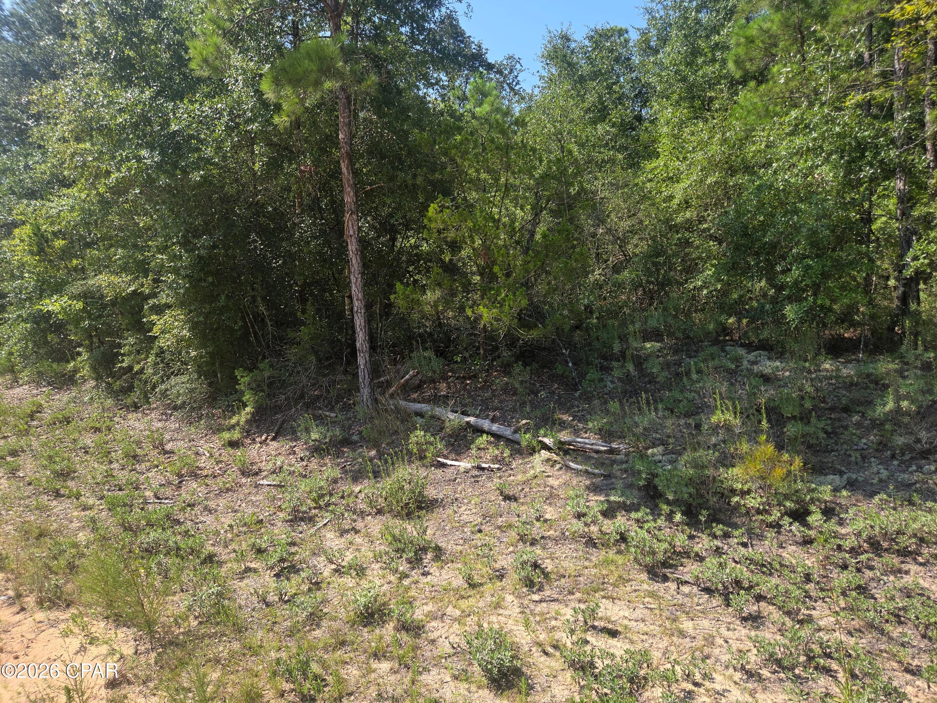 Nice lot in Compass Lake in the Hills subdivision. Great location with easy access to Panama City or Marianna. Compass Lake in the Hills amenities include access to two lakes (Compass and McCormick), swimming pool, clubhouse facilities, cabin rentals and more!! The annual $135 POA fee is paid voluntarily. The county ordinance has recently changed which allows mobile homes in Compass Lake in the Hills. There is approximately a 100' x100' section partially cleared in center of property with a path into property.