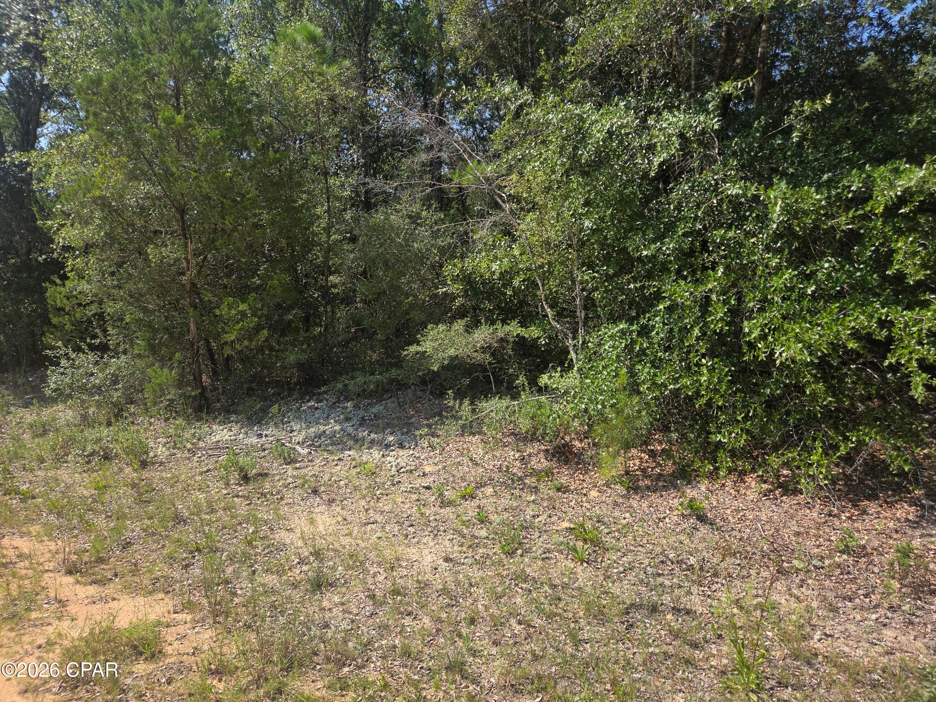 Compass Lake Hills Unit 3 - Land