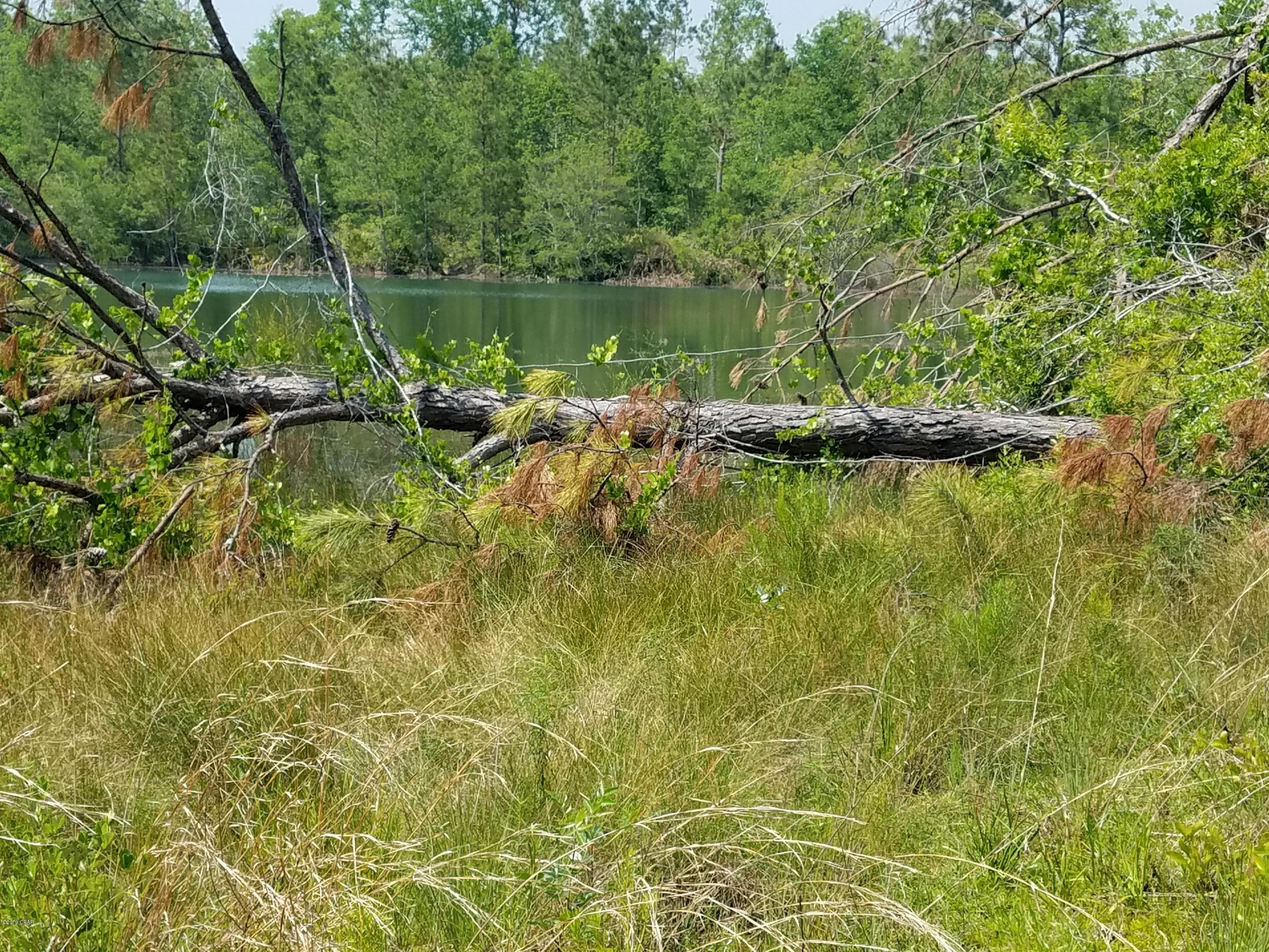 Wait till you see this land with a beautiful spring fed pond.  Metal storage building on lot but no electricity.  This property is fenced on 3 sides.  Just a few trees down from hurricane but no real damage!  This property boarders another 20 acres for sale and can be bought together!  What a beautiful place for a get-a-way or your forever home!