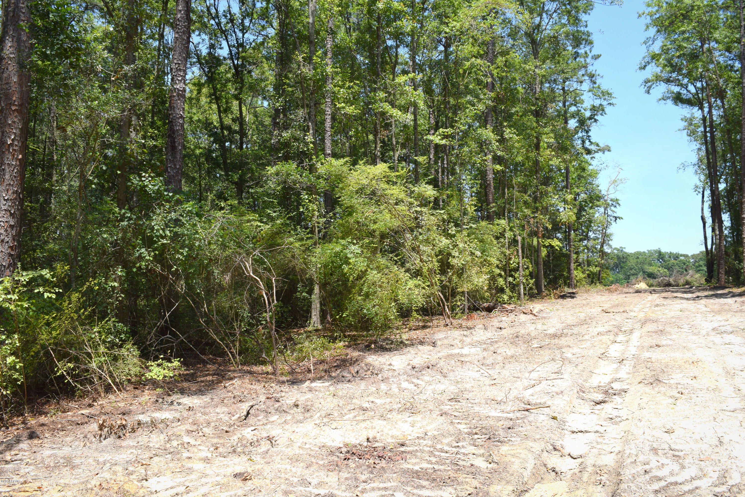 **RARE FIND**LOCATED JUST OFF THE NEARING HILLS SUBDIVISION SITS THIS 2.11 ACRE WOODED LOT READY FOR YOUR DREAM HOME. ENJOY PRIVACY DOWN THIS DEAD-END ROAD AND THE CONVIENCE OF WALKING TO SCHOOLS, RESTAURANTS AND SHOPPING.