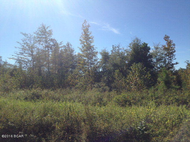 35 acre tract that would be a great home site or investment property. Current owner used the property for timber and has recently had property clear-cut. Located just off of a paved road and minutes from Highway 2 and the Alabama line.
