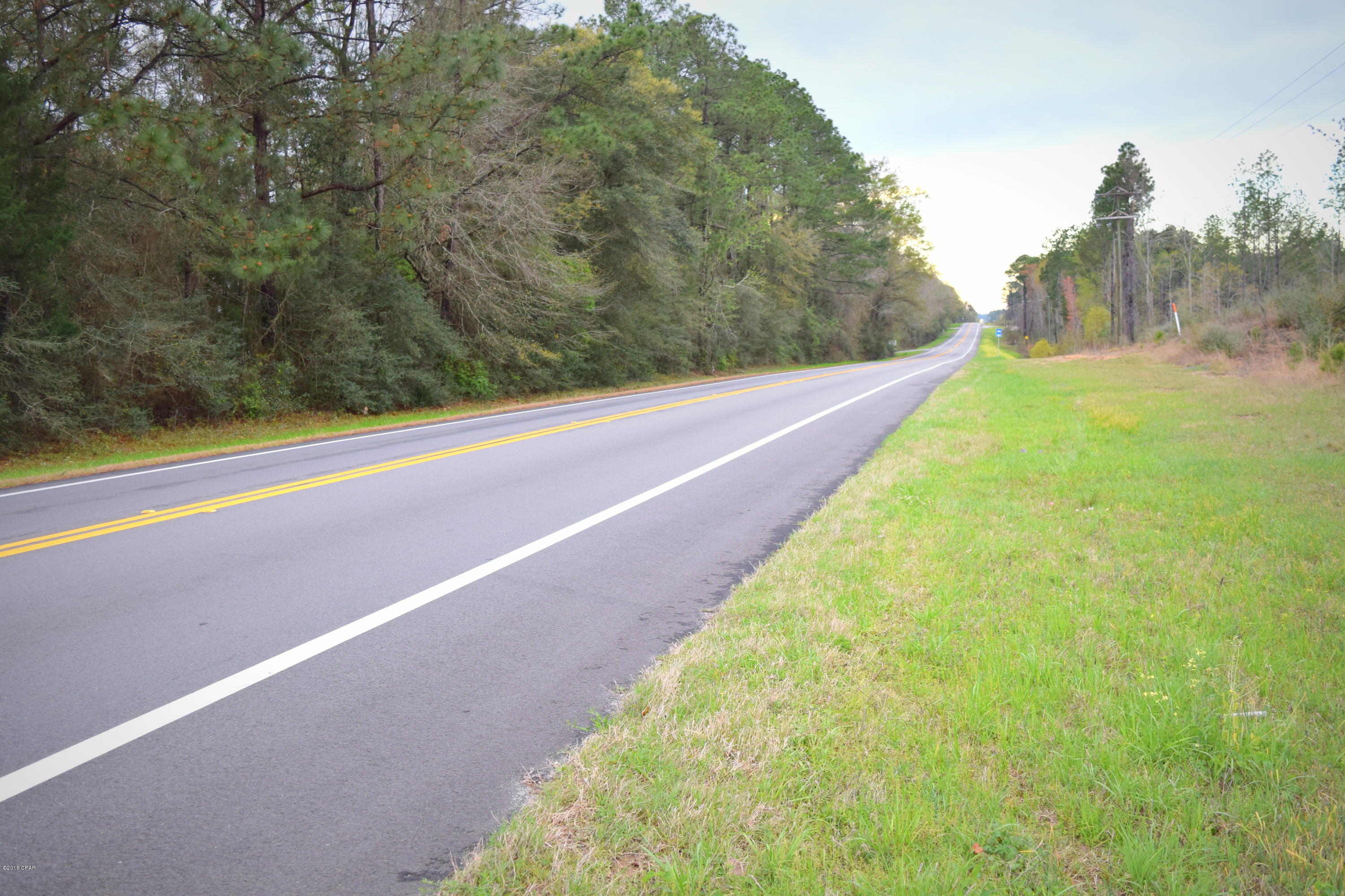 With over 1200 foot of Highway 20 frontage and 31 +/- acres that adjoins the Ebro Greyhound Park this tract has great potential. Property is located just west of Hwy 79 just a short drive to the beaches.