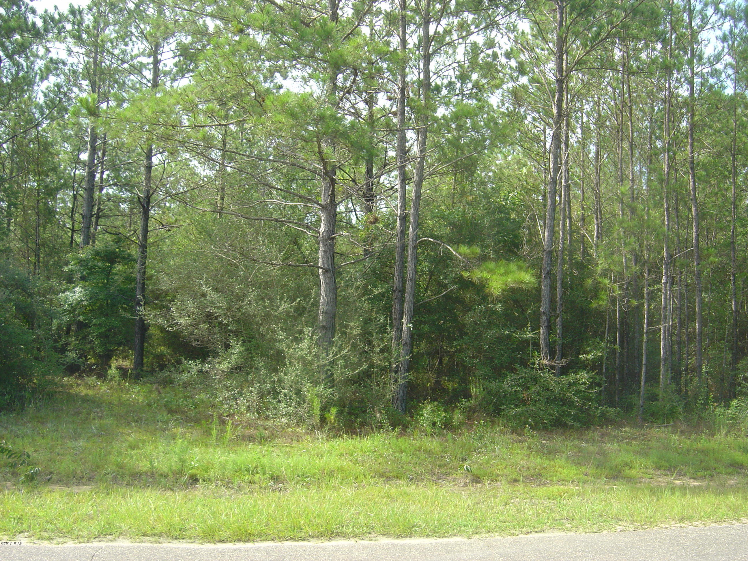 Compass Lake Hills Unit 5 - Land