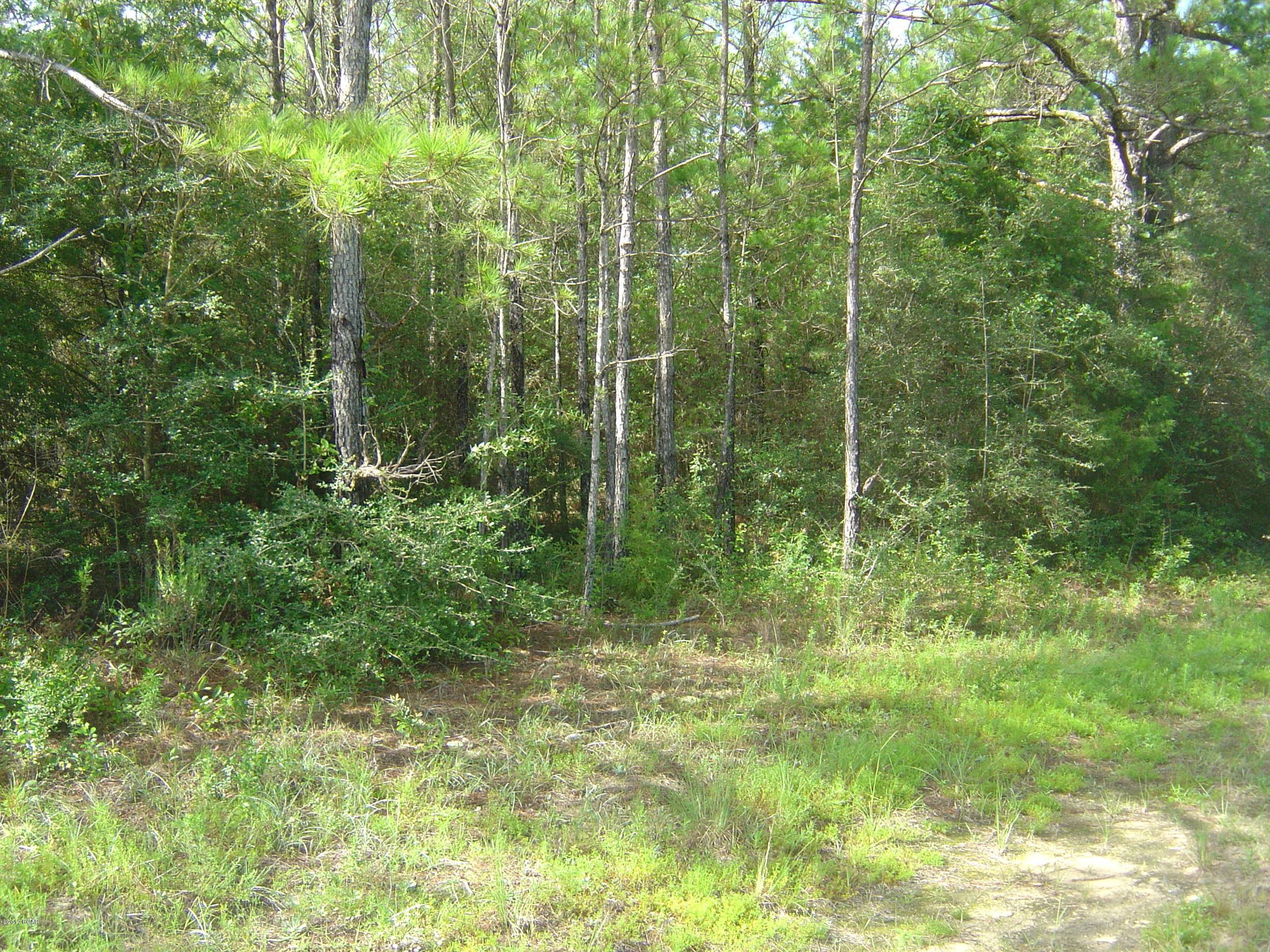 Compass Lake Hills Unit 5 - Land