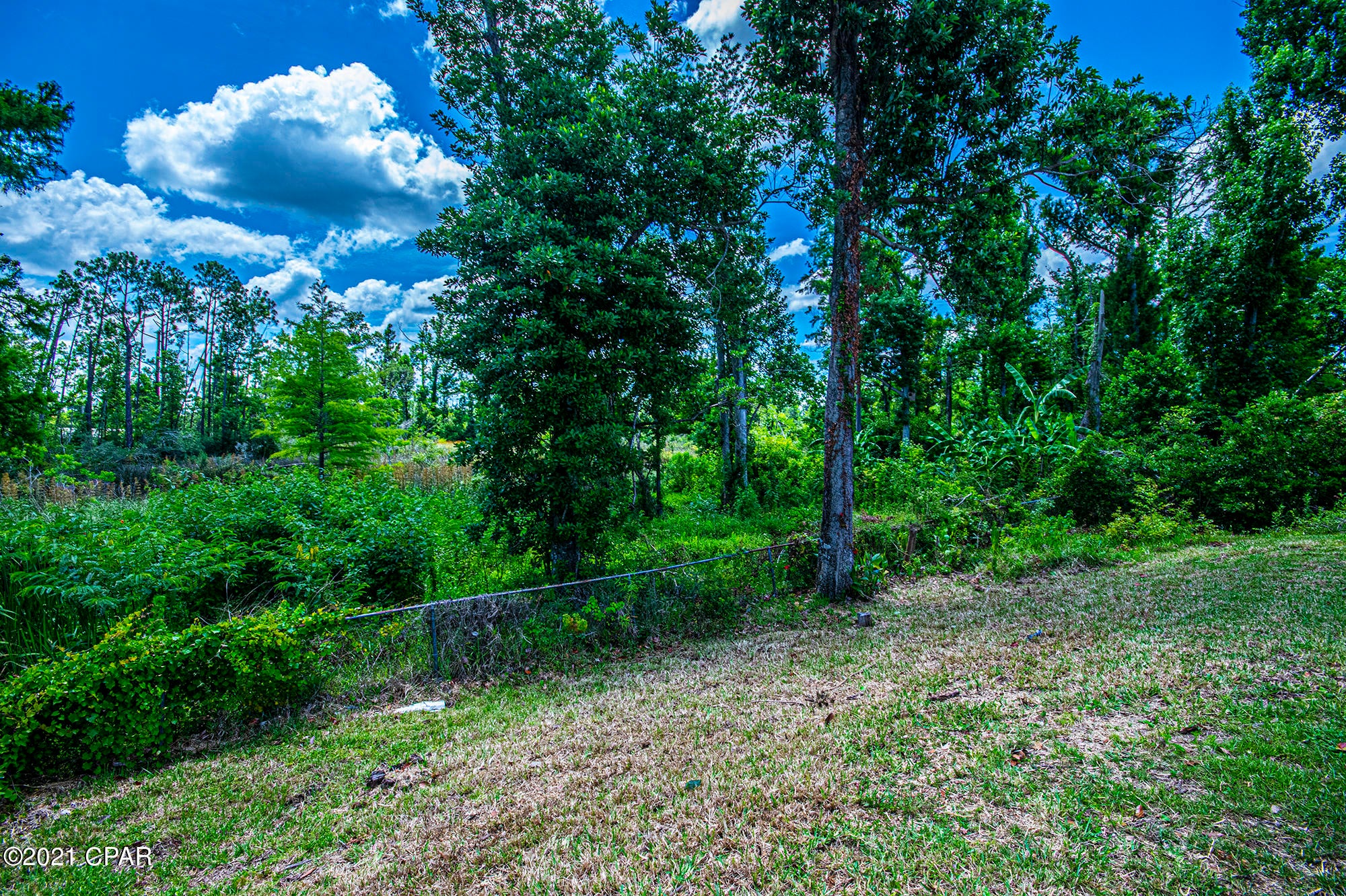 Brook Forest U-1 - Residential