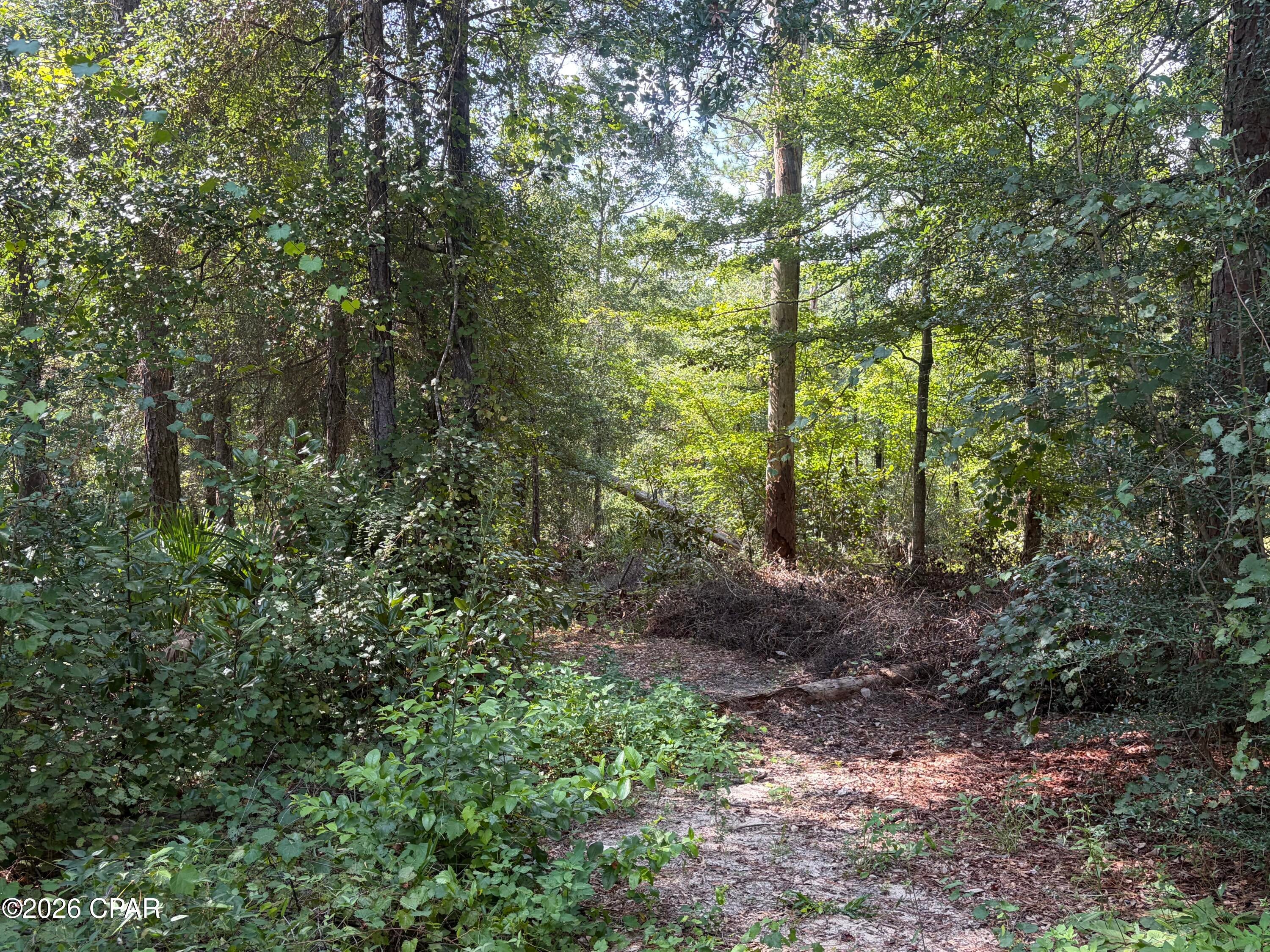 Compass Lake In The Hills - Residential