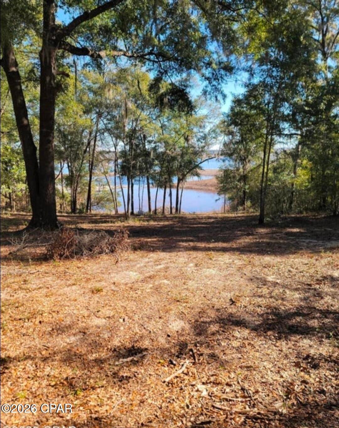 Woodland Meadows - Land