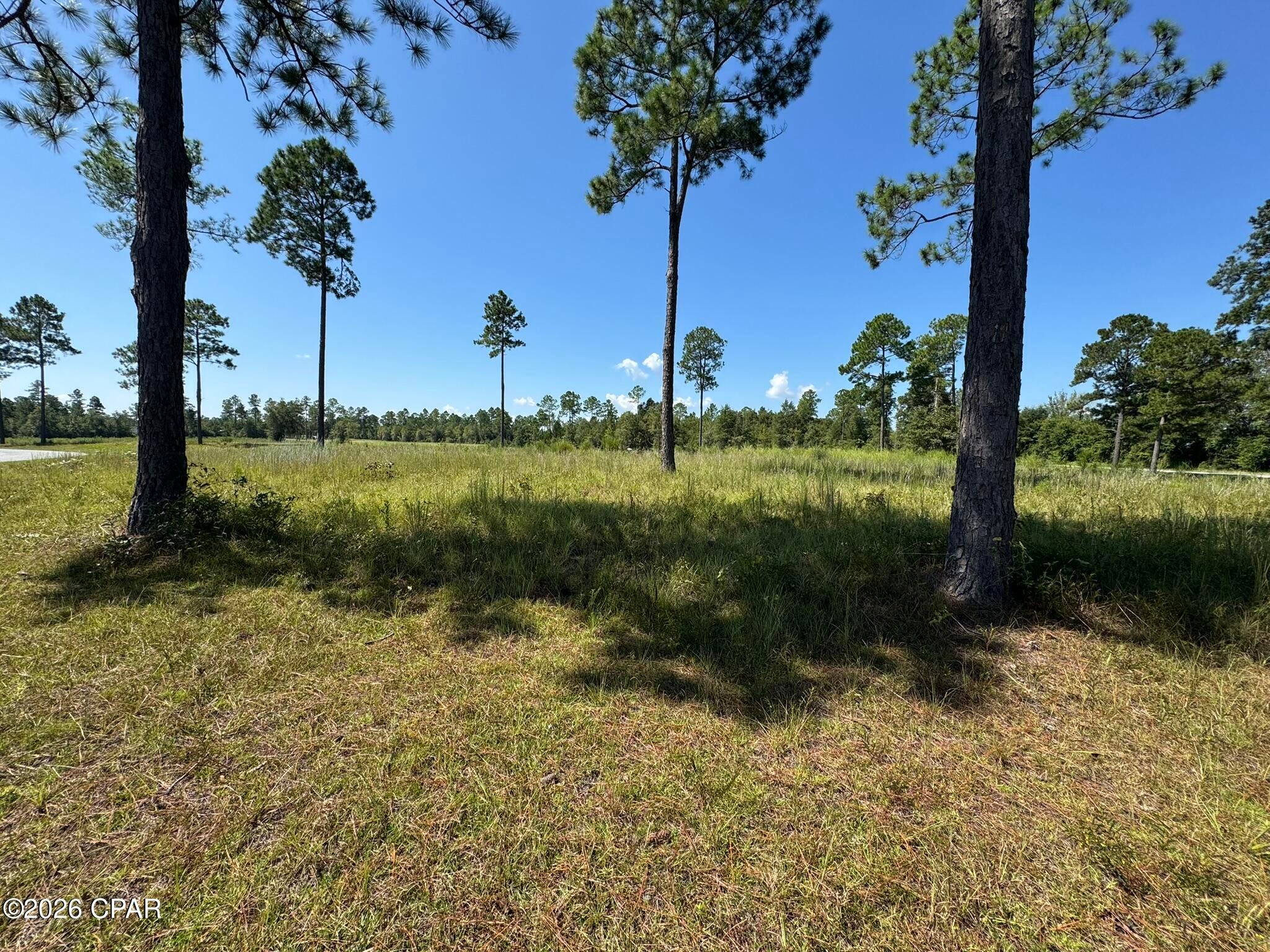 Blue Springs Plantation - Land