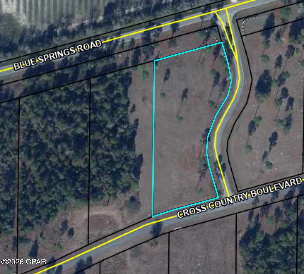 Blue Springs Plantation - Land