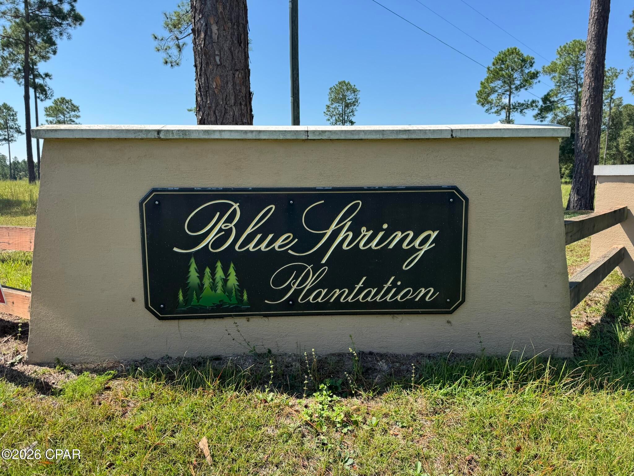 Blue Springs Plantation - Land