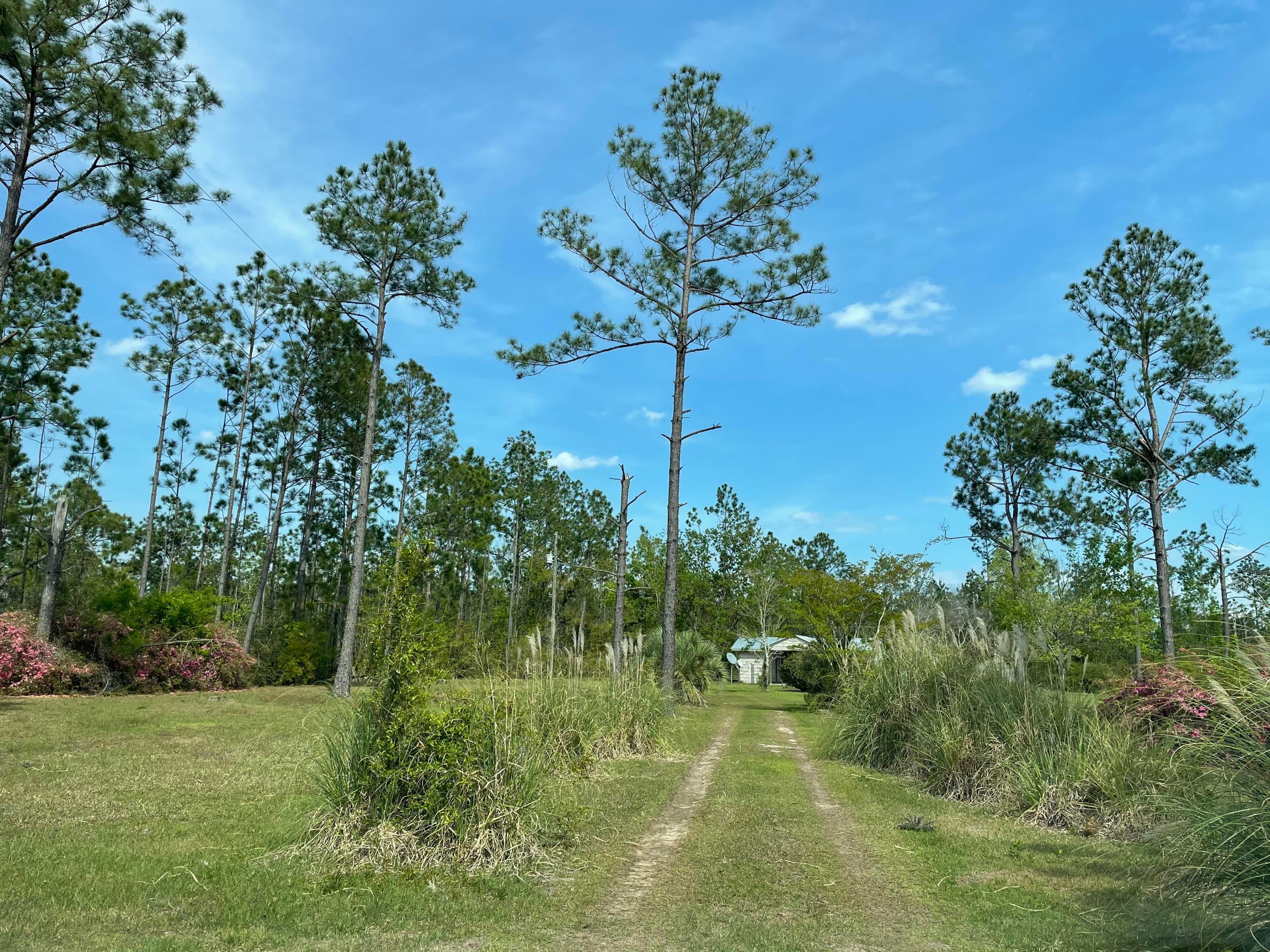 Caravana Estates - Residential