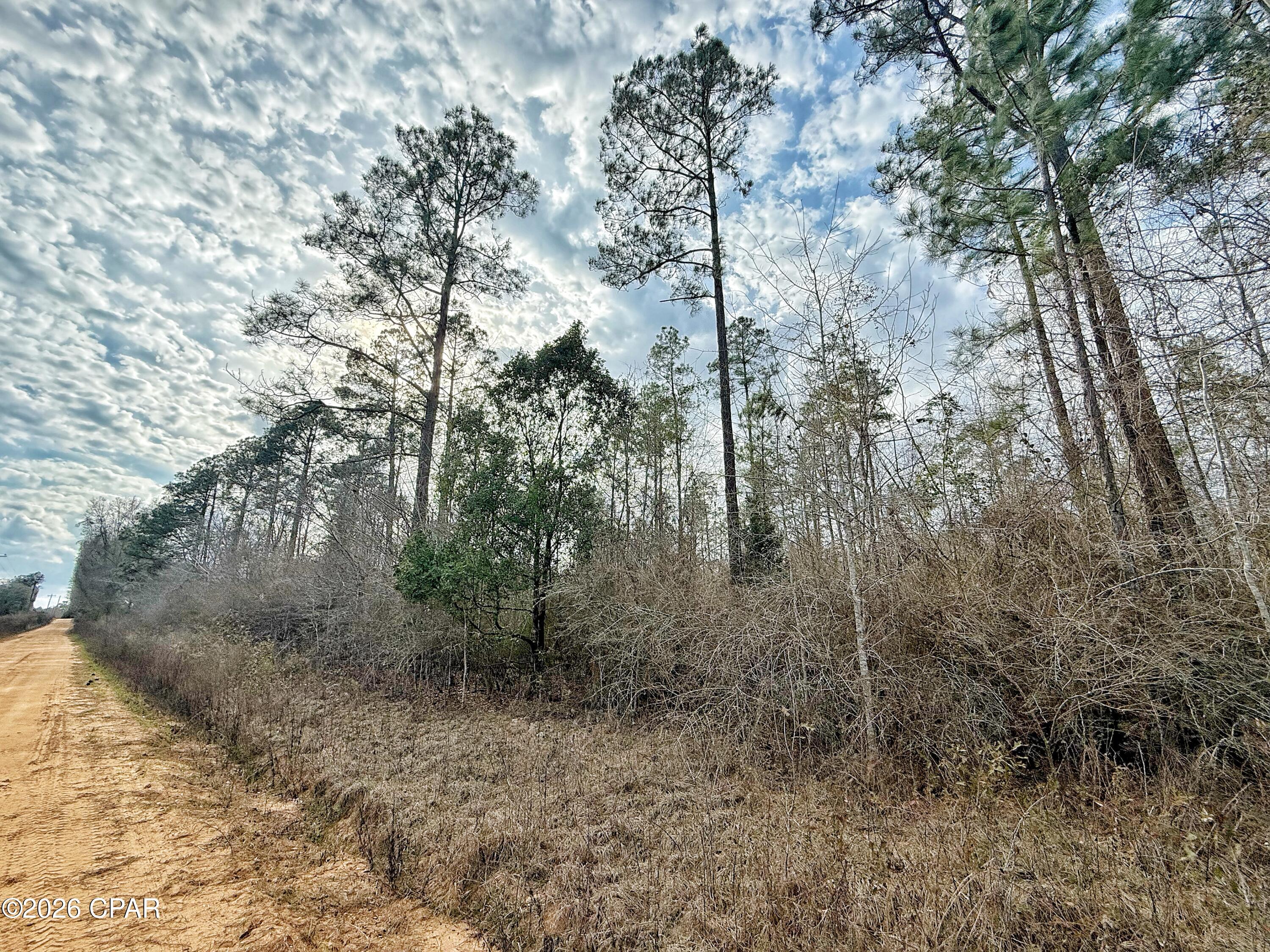 Discover the perfect blend of privacy and possibility with this beautiful 20-acre tract in Cottondale. Tucked away on a quiet dirt road, this property offers the peaceful country setting you've been searching for.
All high and dry and located in no flood zone, this wooded parcel features planted pines that create a scenic backdrop and natural privacy. Whether you're dreaming of building your forever home, placing a manufactured home, starting a mini farm, or simply investing in land, the options are wide open here.
With no deed restrictions, you have the freedom to make this property truly your own. Enjoy the space, seclusion, and endless potential that 20 acres provides -- perfect for a private homesite, or recreational retreat. 
If you've been waiting for acreage with flexibility and room to breathe, this is it.  Sellers will consider selling 10 acre parcels.