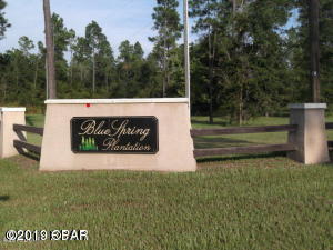 Beautiful 4.7 acre lot that was cleared for building prior to Hurricane Michael. One acre clear cut and 2 acres thinned. There are a few trees down from the storm. Road is cut into lot for access,