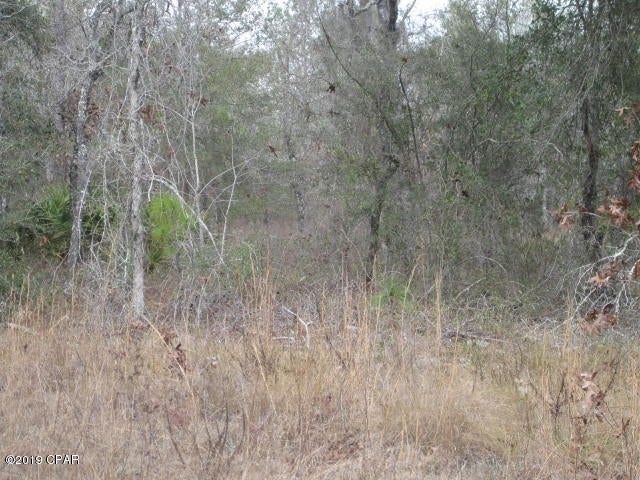 Silver Lake - Land