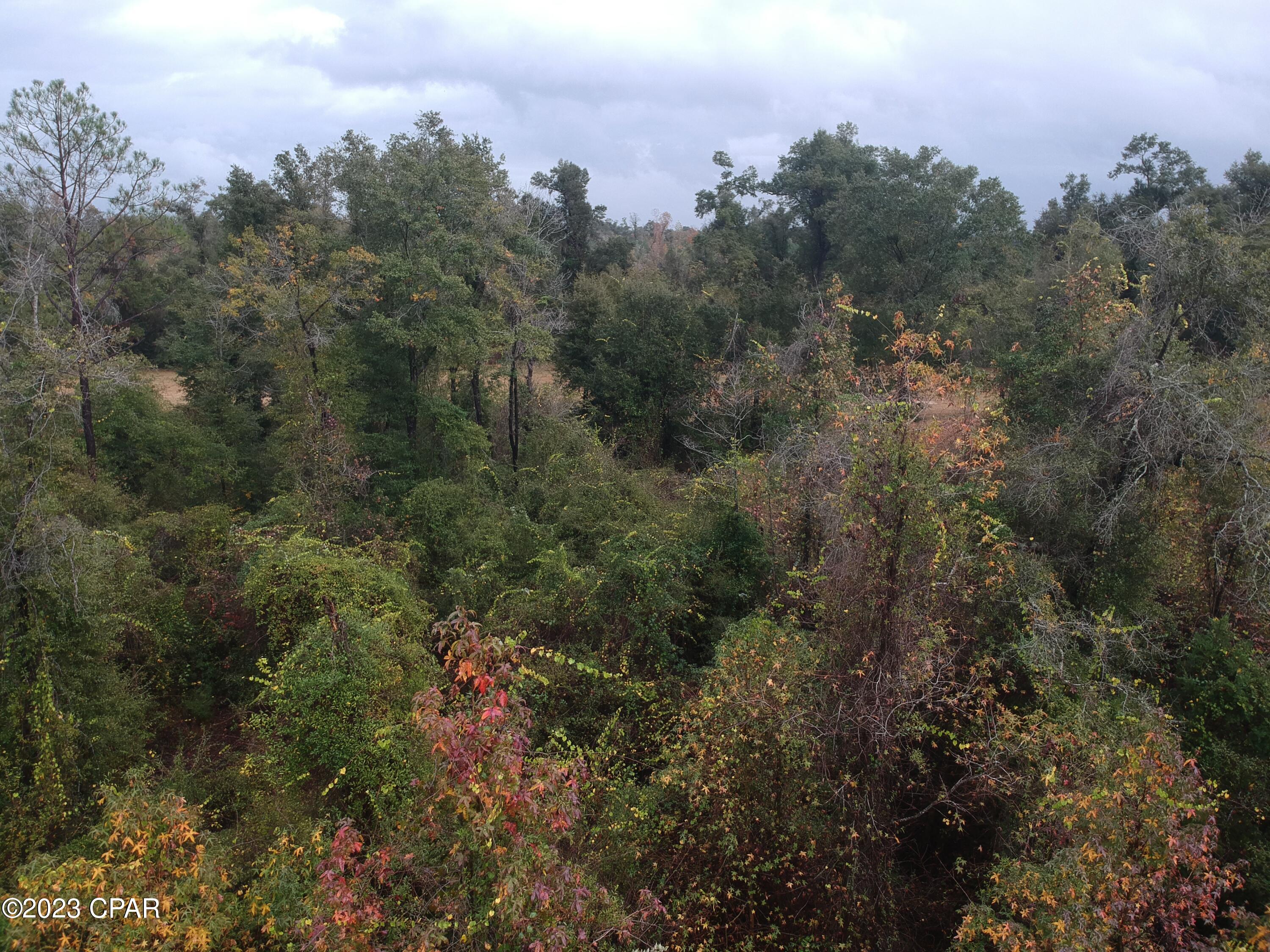 Magnolia Oaks - Land