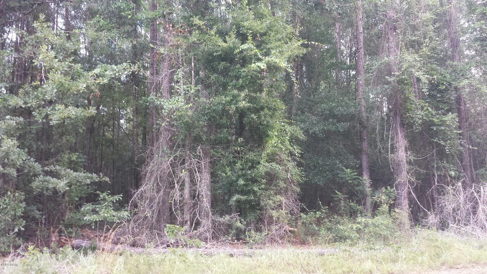 Approx 10 acres of planted pines on quite Camelot Lane. Private maintained road. Approx 5-6 miles from fire assistance.

Restictions do apply: 1500 sq ft for 1 story home and 1800 sq ft for 2 story home. No M.H., only modular homes, with skirting attached. One modular per 9.2 acs. Horses allowed for family pets.