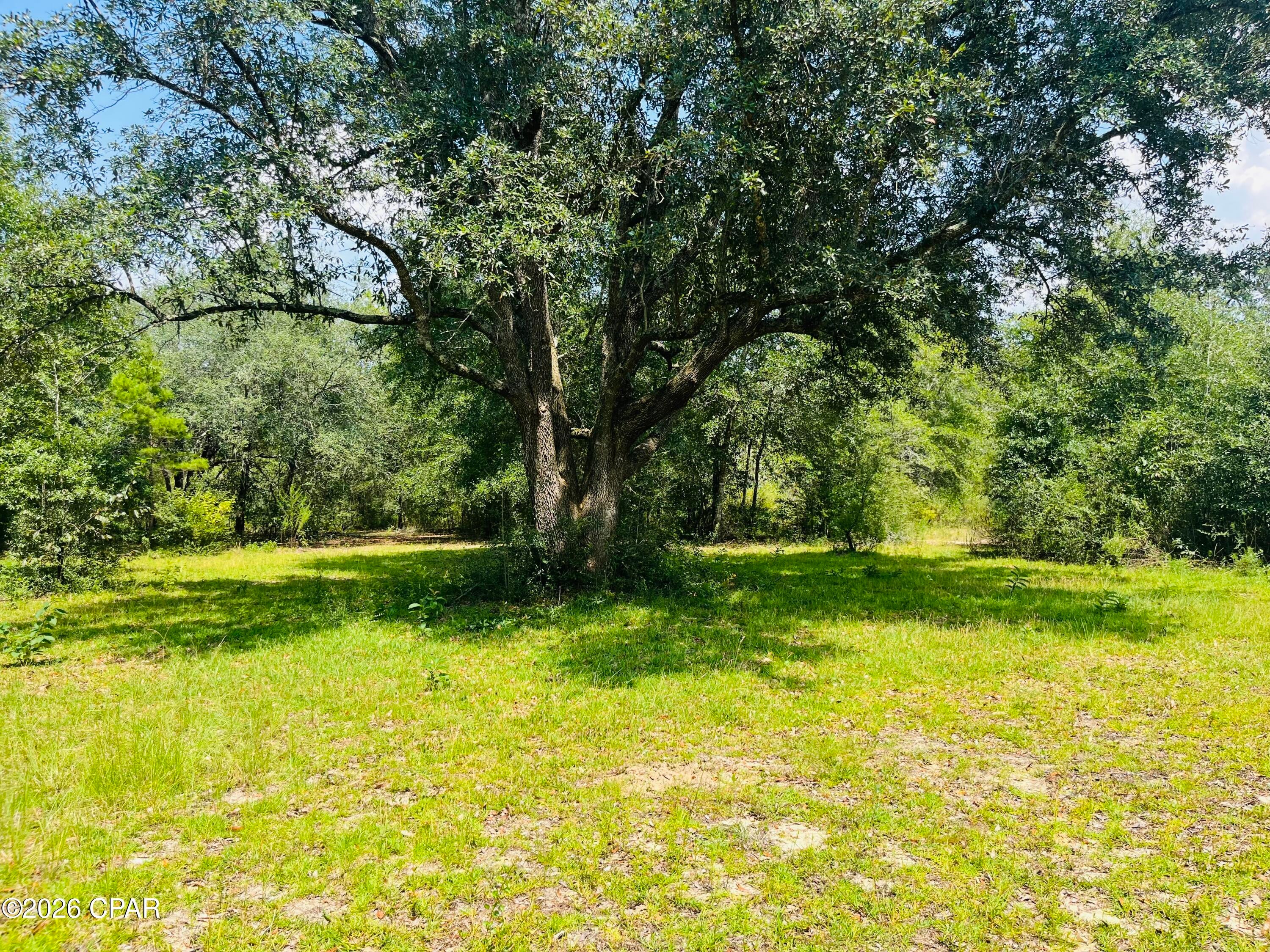Country Road Acres - Residential