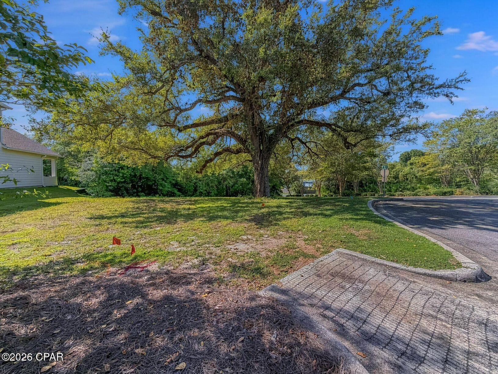 Cove Pointe - Land