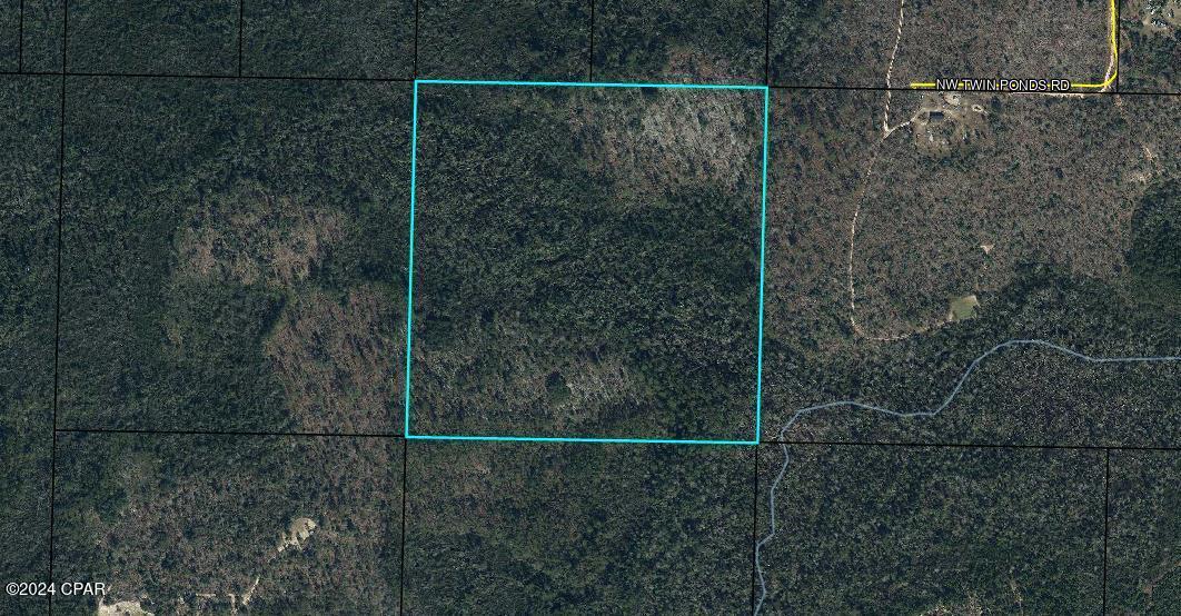 40 acres with a deeded easement that is perfect for your hunt camp or just to be one with nature.  Combine the adjoining 40 and have your own piece of paradise with a total of 80 acres. See MLS 746827 for the adjoining 40 acres to the west, information.  Live on the land or make it your weekend getaway.  It's only a 45minute drive more or less into Panama City to head to the beach.  Wooded, quiet, and peaceful.