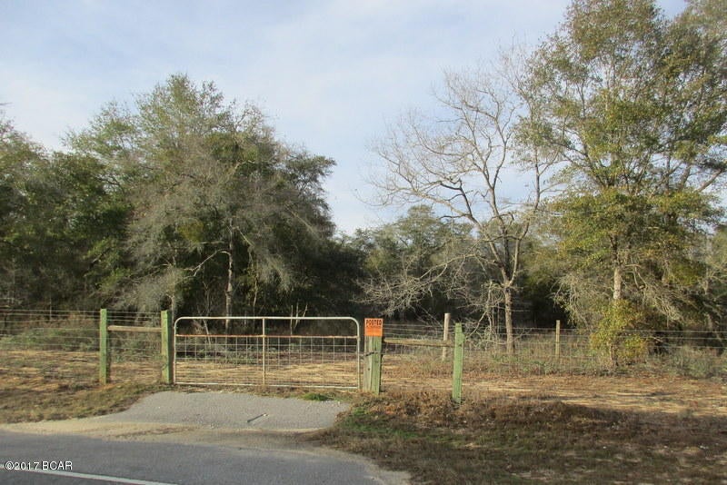 80 acres of wooded land perfect for hunting or building your dream home!  Lots of wildlife.  Located on a paved road close to Highway 231.