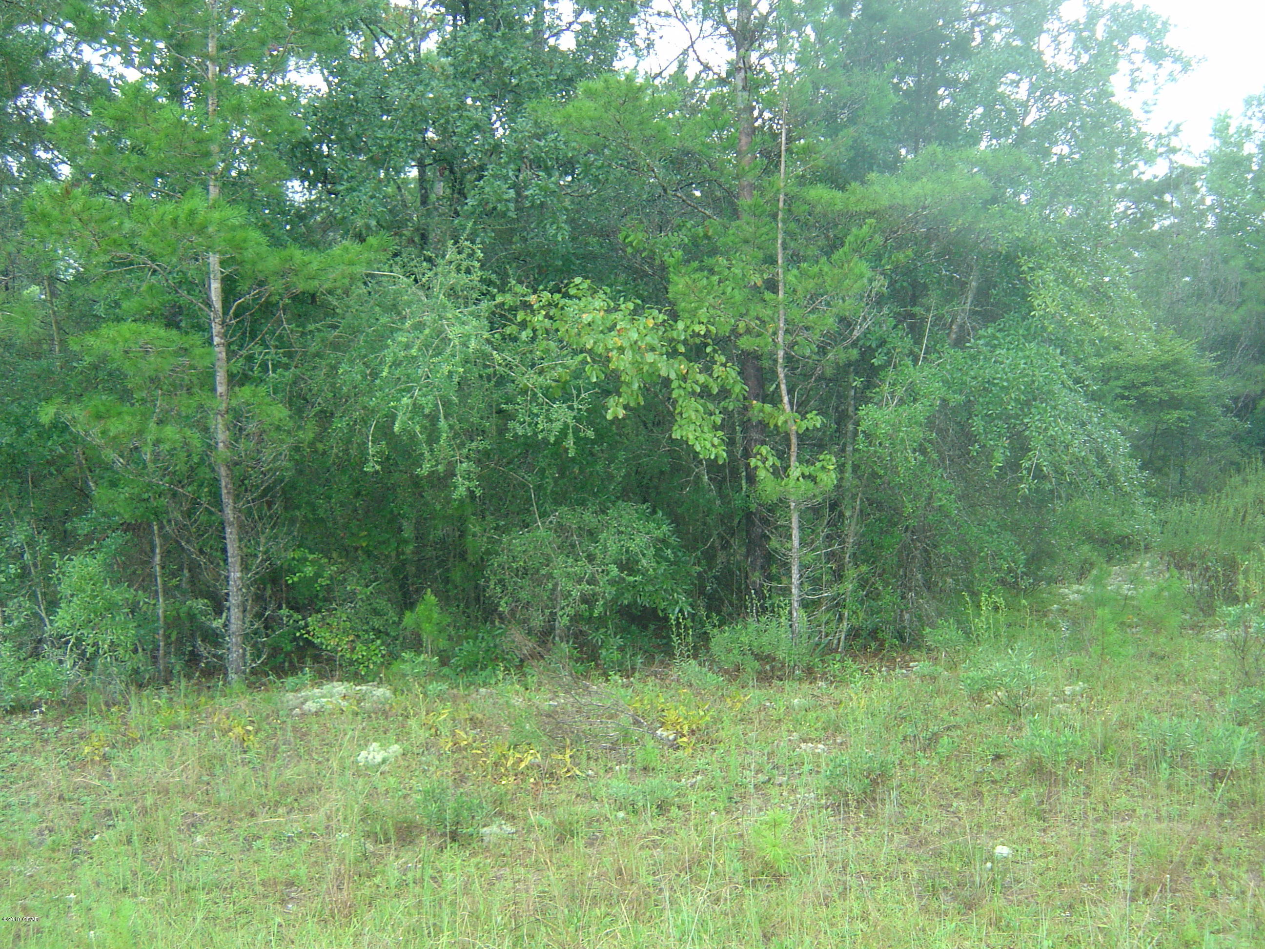 Compass Lake Hills Unit 5 - Land