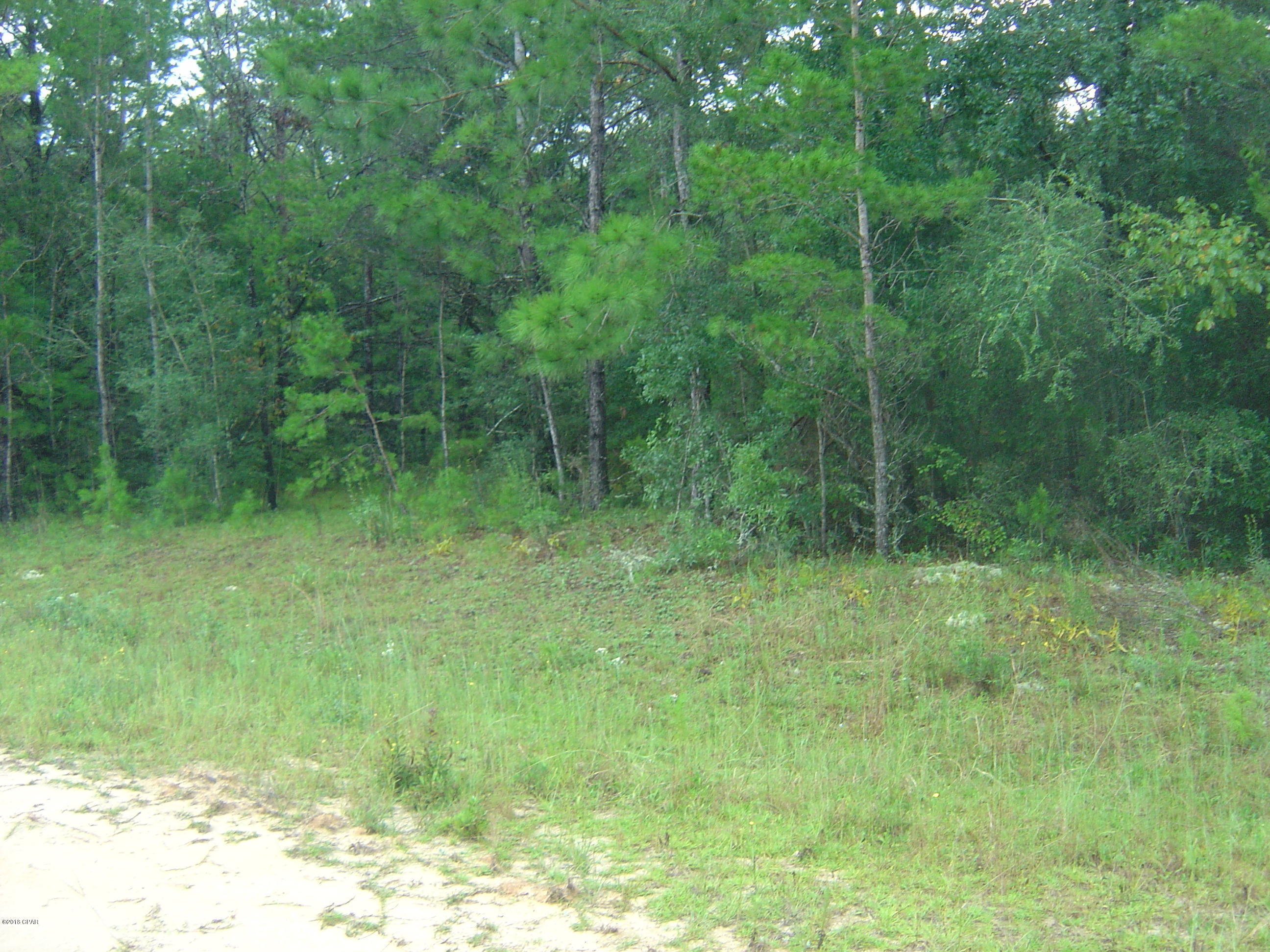 Compass Lake Hills Unit 5 - Land