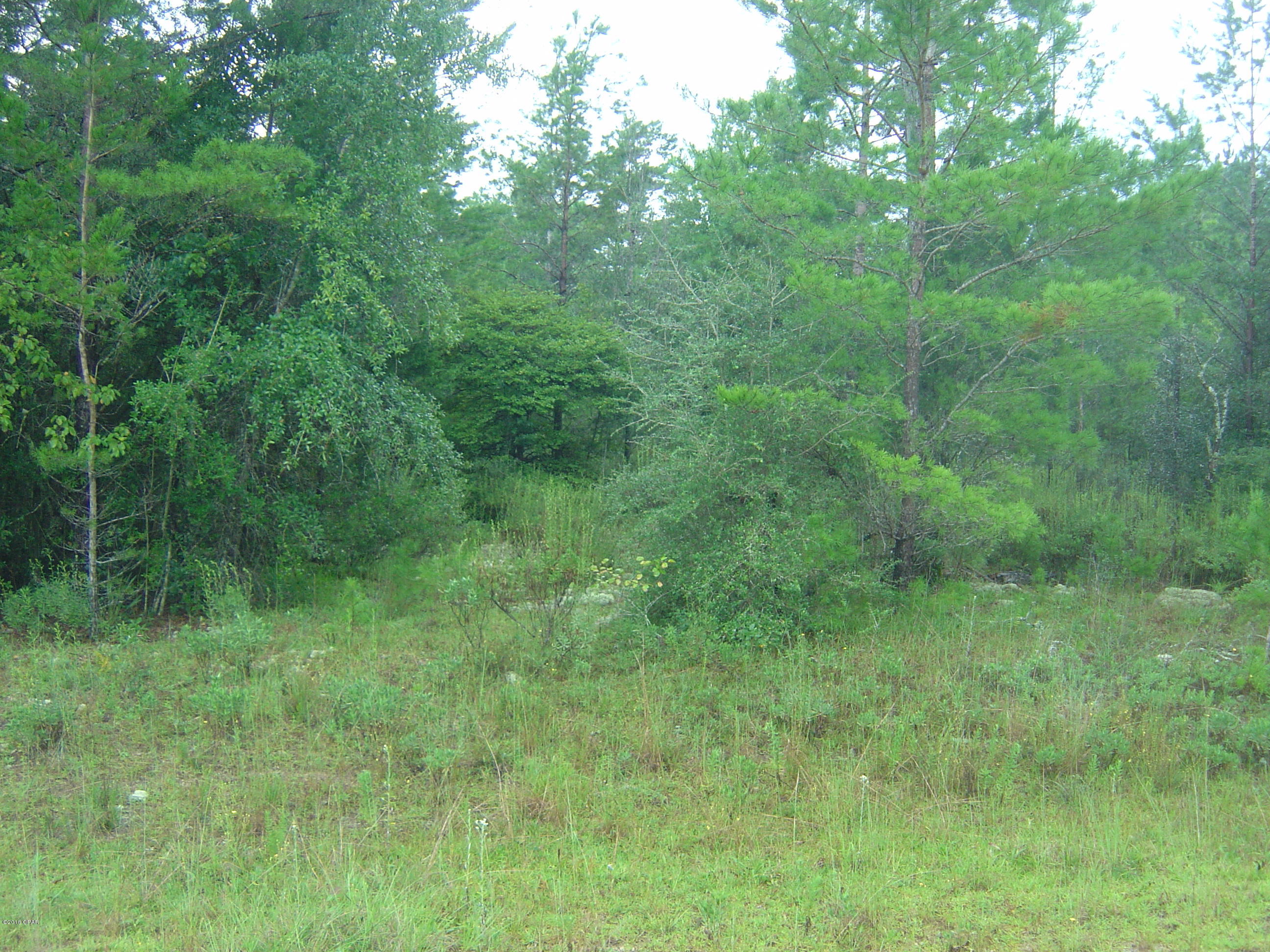 Nice lot near Hwy 167 and is near McCormick Lake and is across the road (Beaverhead) from a small lake.