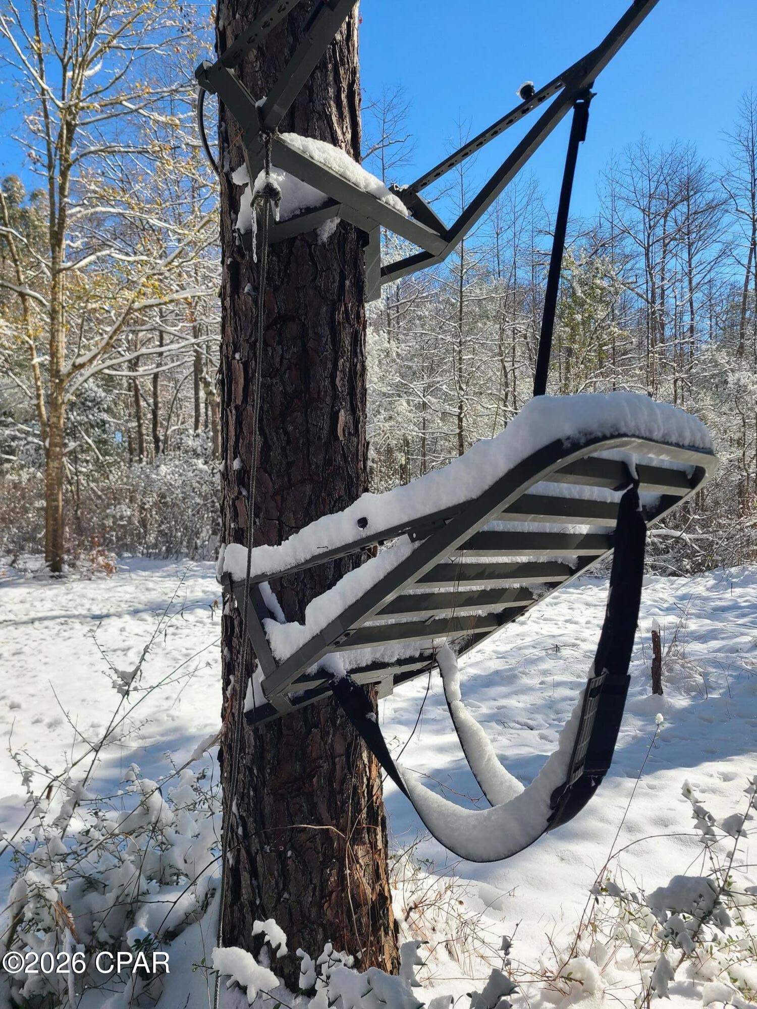 Canopy Crossing - Land