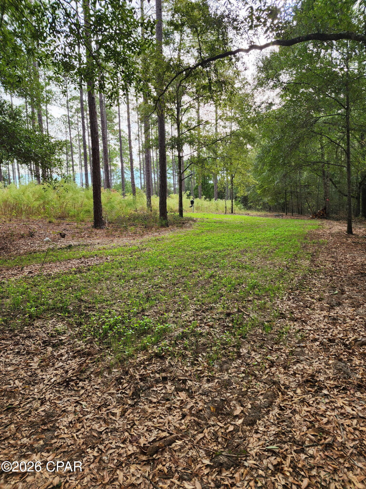 Escape to 32 private wooded acres in the gated community of Canopy Crossing offering the ideal setting for a hunting retreat, recreational getaway, or future dream home.
The property features a beautiful mixture of  mature trees, abundant signs of deer, turkey, and other wildlife, and an established network of trails for walking, horseback riding, ATVs, and easy access to the permanent hunting stand already in place.
A cleared homesite provides a head start for building a home or cabin, with underground power available along the road.  Located within a gated, horse-friendly community that permits site-built homes only, the property offers exceptional privacy and peaceful country surroundings.  With approximately 1,700 acres of undeveloped land nearby, a few homesites, and convenient access to surrounding towns, this is a rare opportunity to enjoy outdoor living without giving up everyday conveniences.