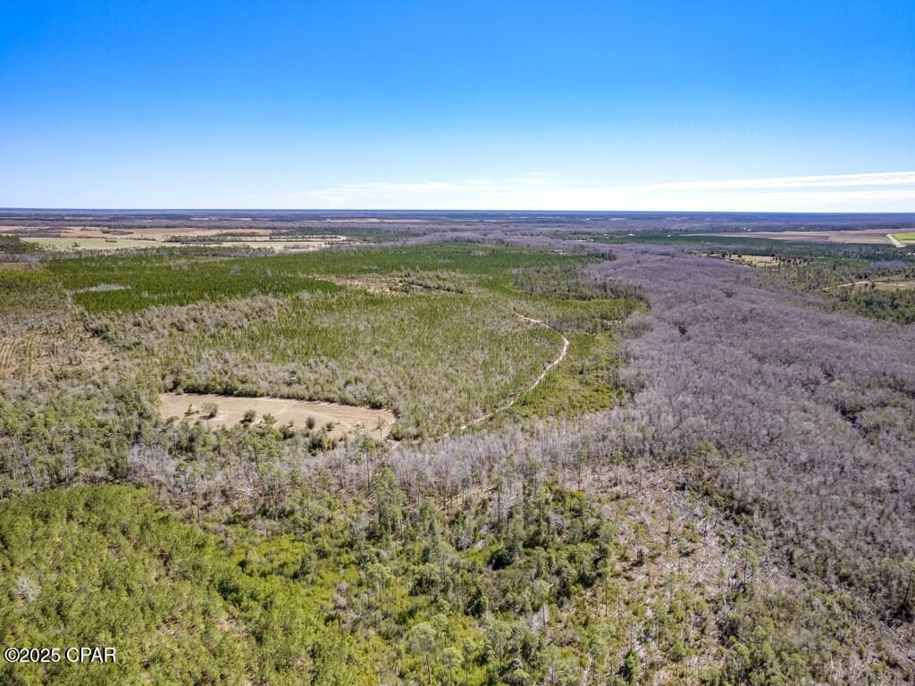 336 Acres of Prime Timberland For Sale in Kinard, FL with SR-71 Road Frontage! 

Looking for the ultimate hunting retreat, timber investment, or private escape?  This rare 336-acre parcel in Kinard, Florida checks all the boxes -- and it's less than an hour from the beautiful beaches of the Gulf Coast! 

10-Year-Old Slash Pine Timber - Healthy, thriving trees with first thinning potential in just 5 years = $$$
2-4 Acres Cleared - Perfect for campsites, food plots, or your dream outdoor basecamp
Established Road System - Easy access throughout the property
Backs Up to Cypress Creek - Ideal habitat for deer, turkey, and other wildlife
 Unmatched Privacy + Seclusion - Your peaceful escape from the everyday grind

 Whether you're a hunter, investor, or just want a place to enjoy Florida's great outdoors, this is your chance to own a slice of paradise!

 Located in Calhoun County, surrounded by natural beauty and endless opportunity.

Sale includes Parcel ID's:
• 01-3S-10-0000-0004-0000
• 02-3S-10-0000-0014-0000