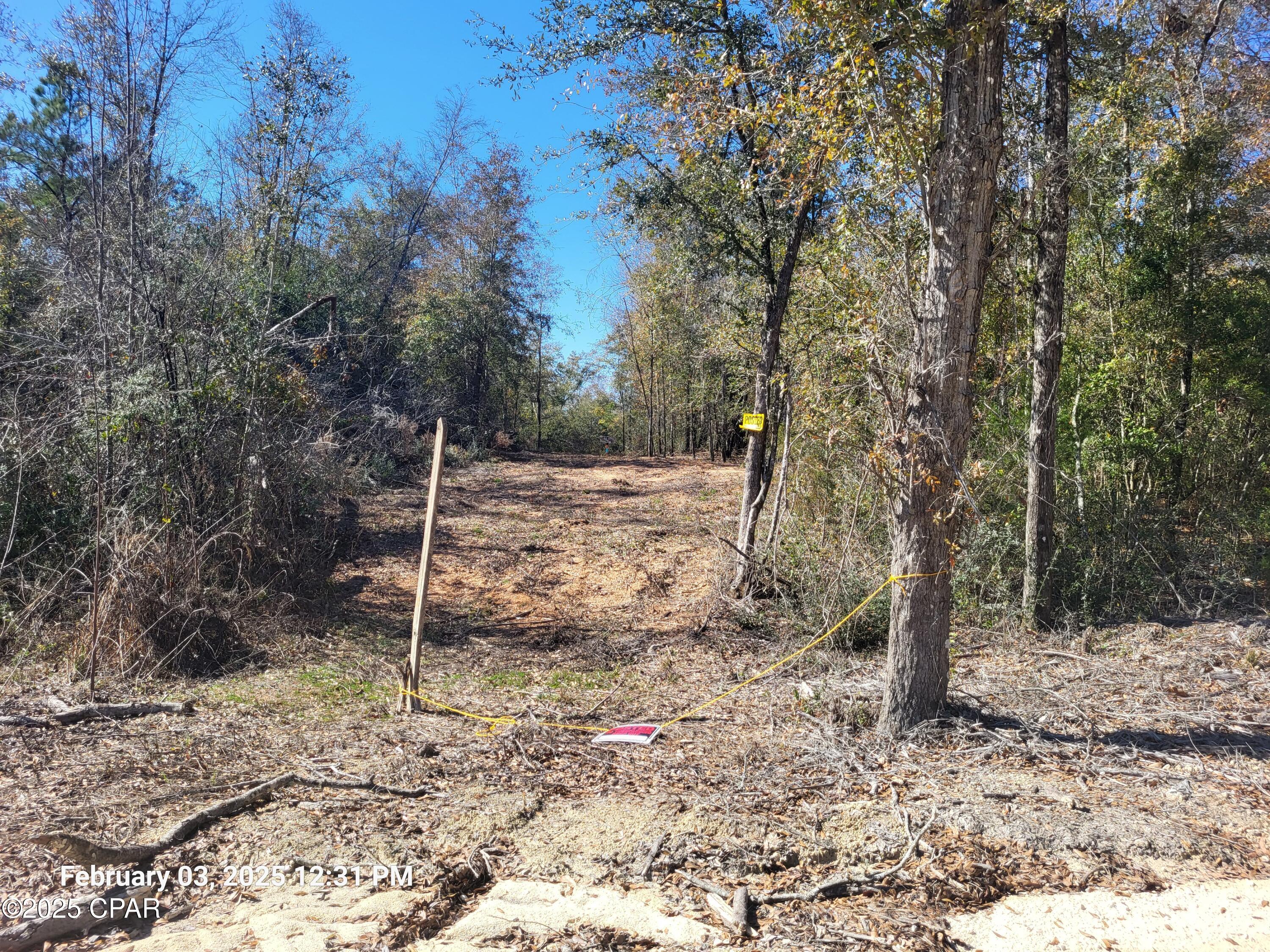 COUNTRY LAND that will be perfect for your new home!  Privacy and beautiful land!  No Flood Zone.  This 7.11 Acres has been surveyed.  This new development of 11 Lots was created to give people a choice of lots size and location.  There are a few restrictions that will keep this area a great place to live. All lost have road frontage for easy access.  Seller will consider some owner financing with 35% down.  
Call for more information.  7 Lots Left for sale.