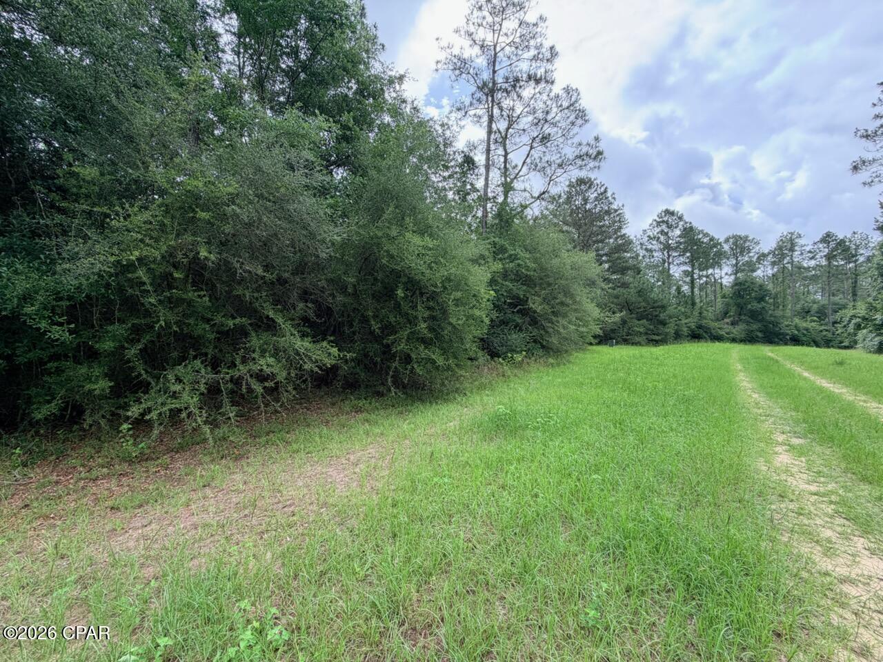 Reedy Creek - Land
