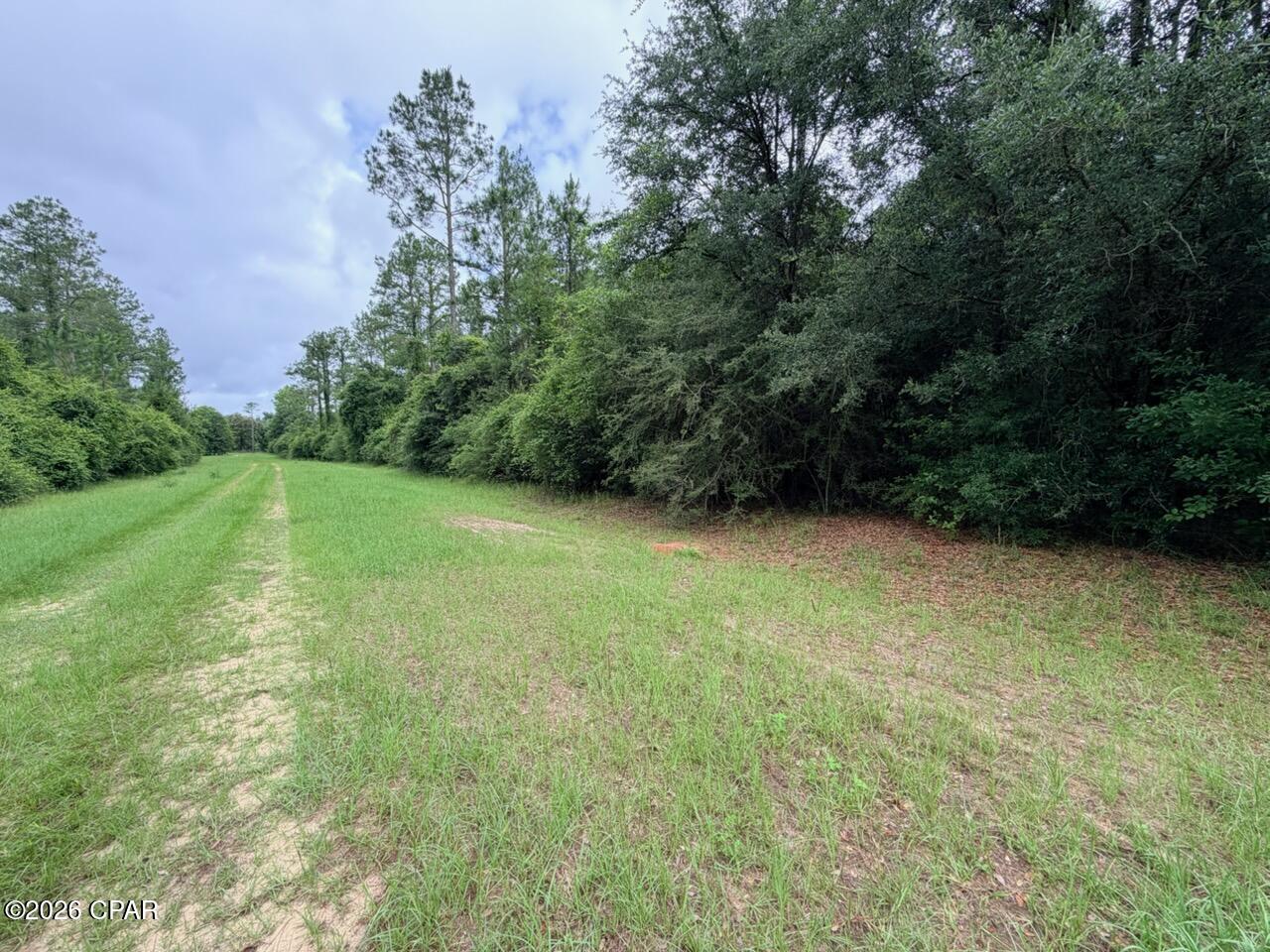 Reedy Creek - Land
