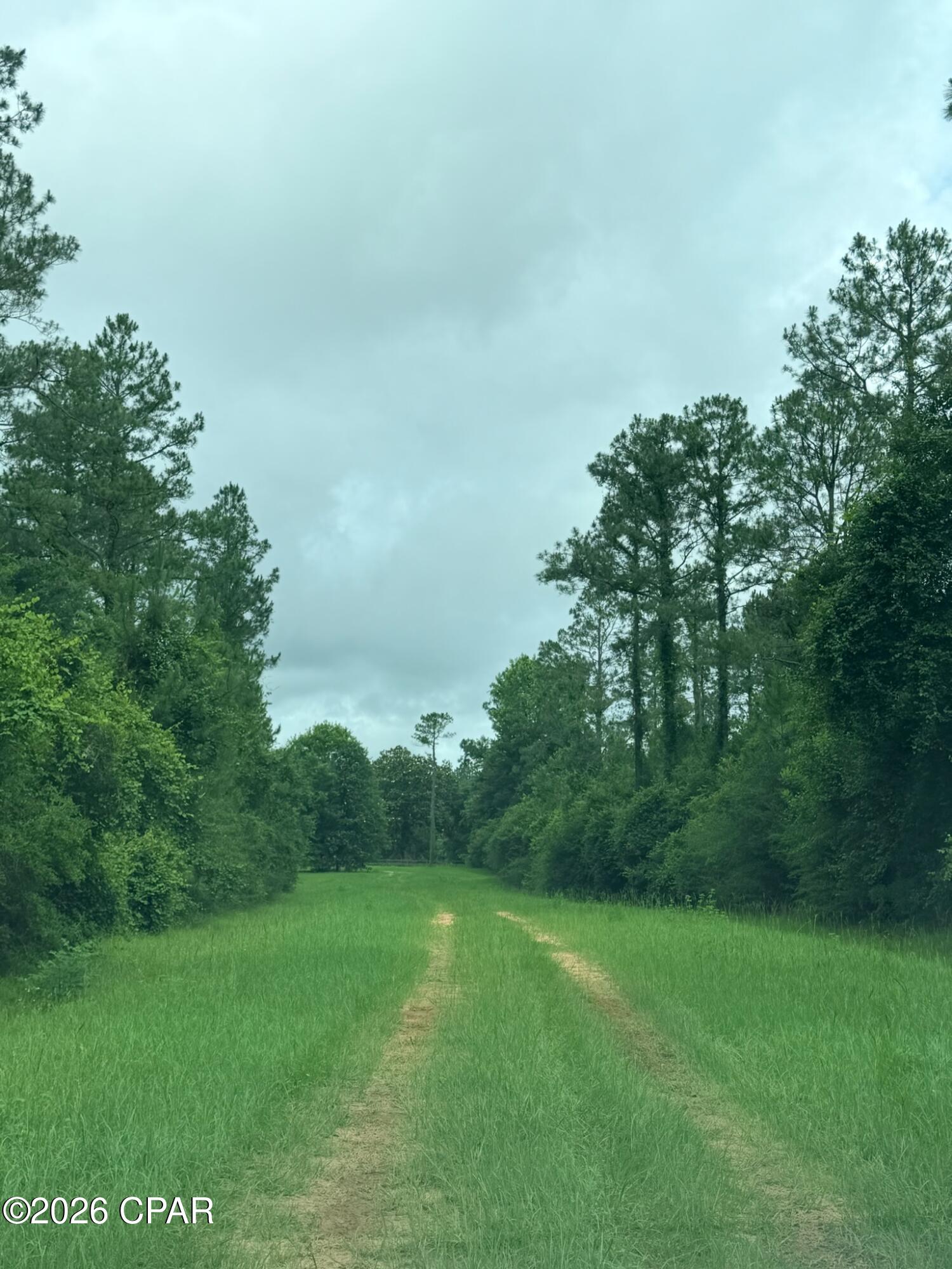 Reedy Creek - Land