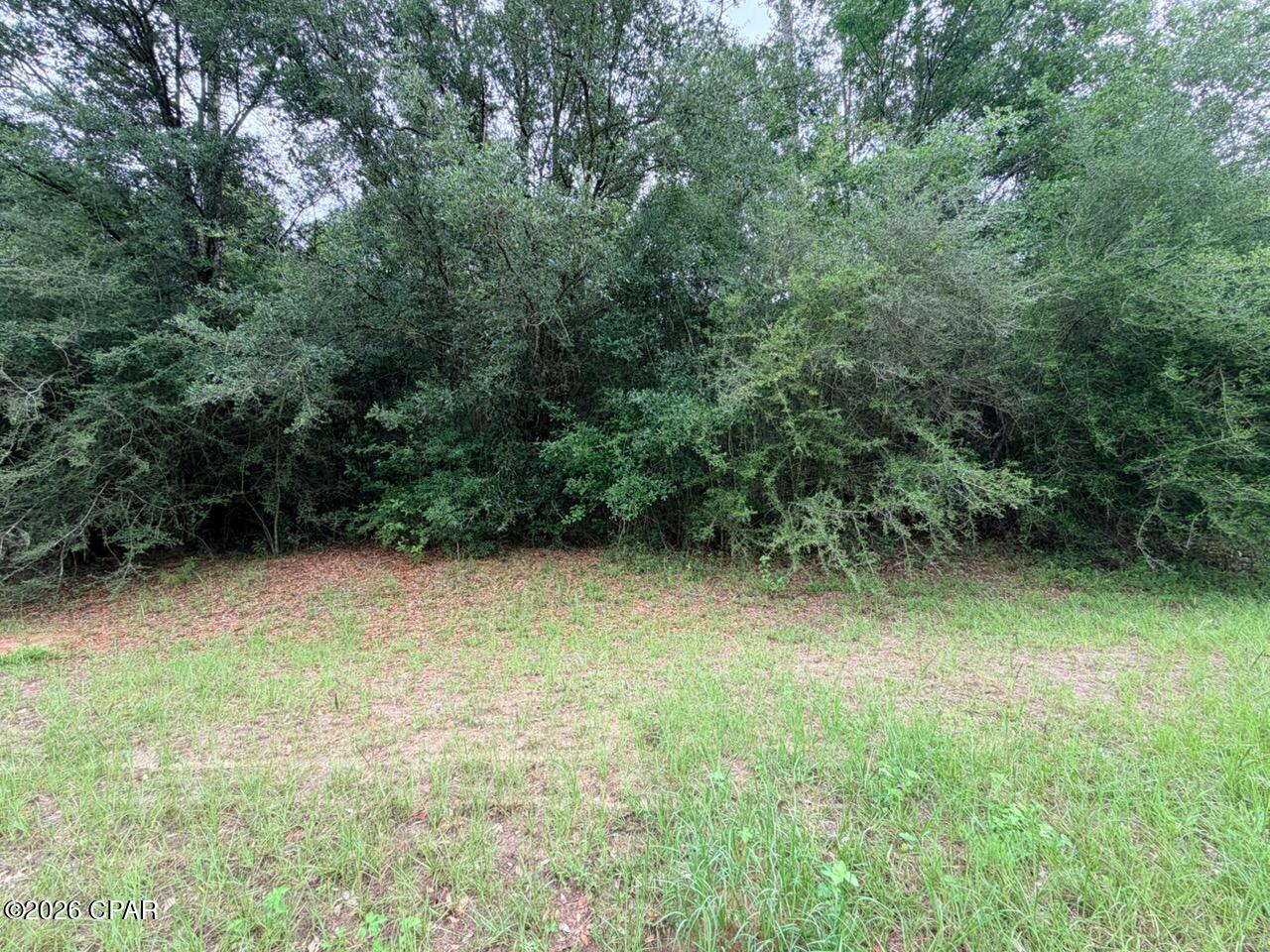 Reedy Creek - Land