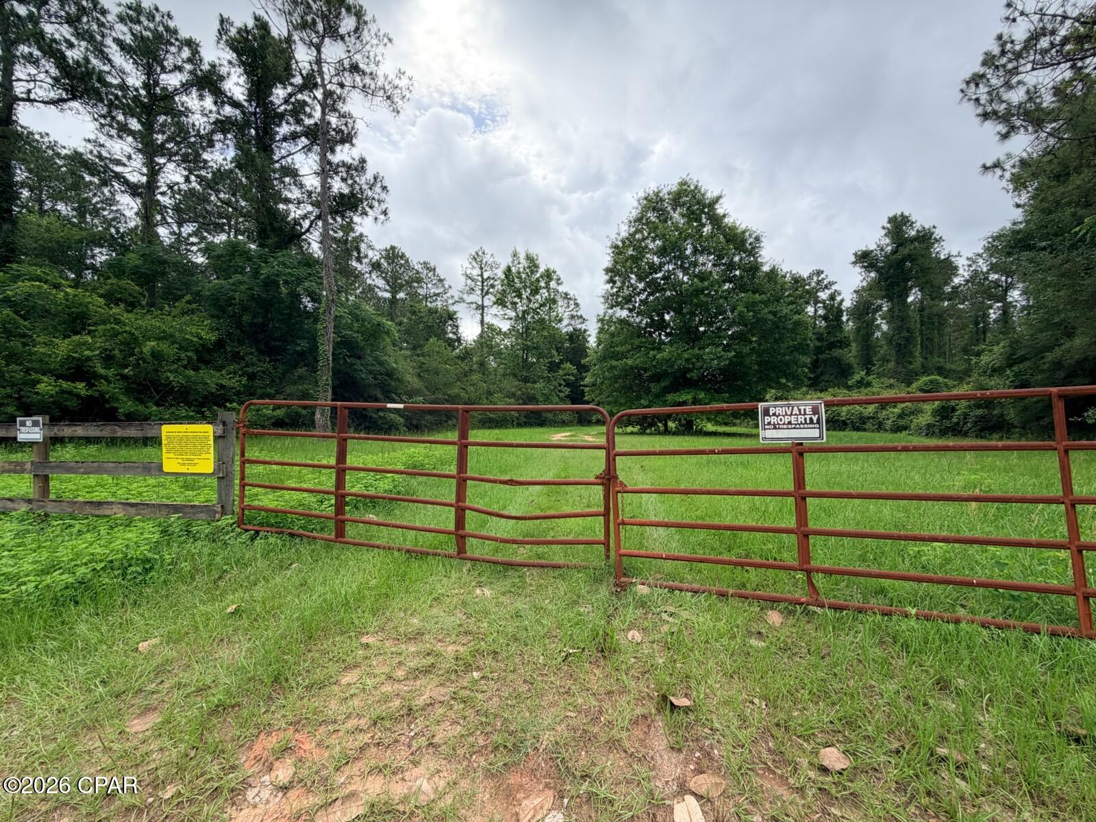 Reedy Creek - Land