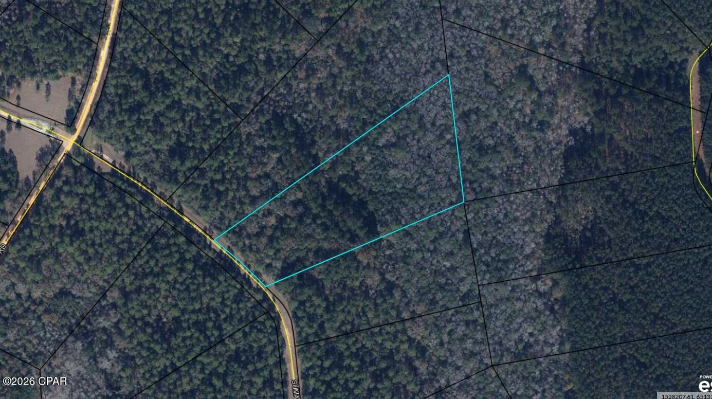 Reedy Creek - Land