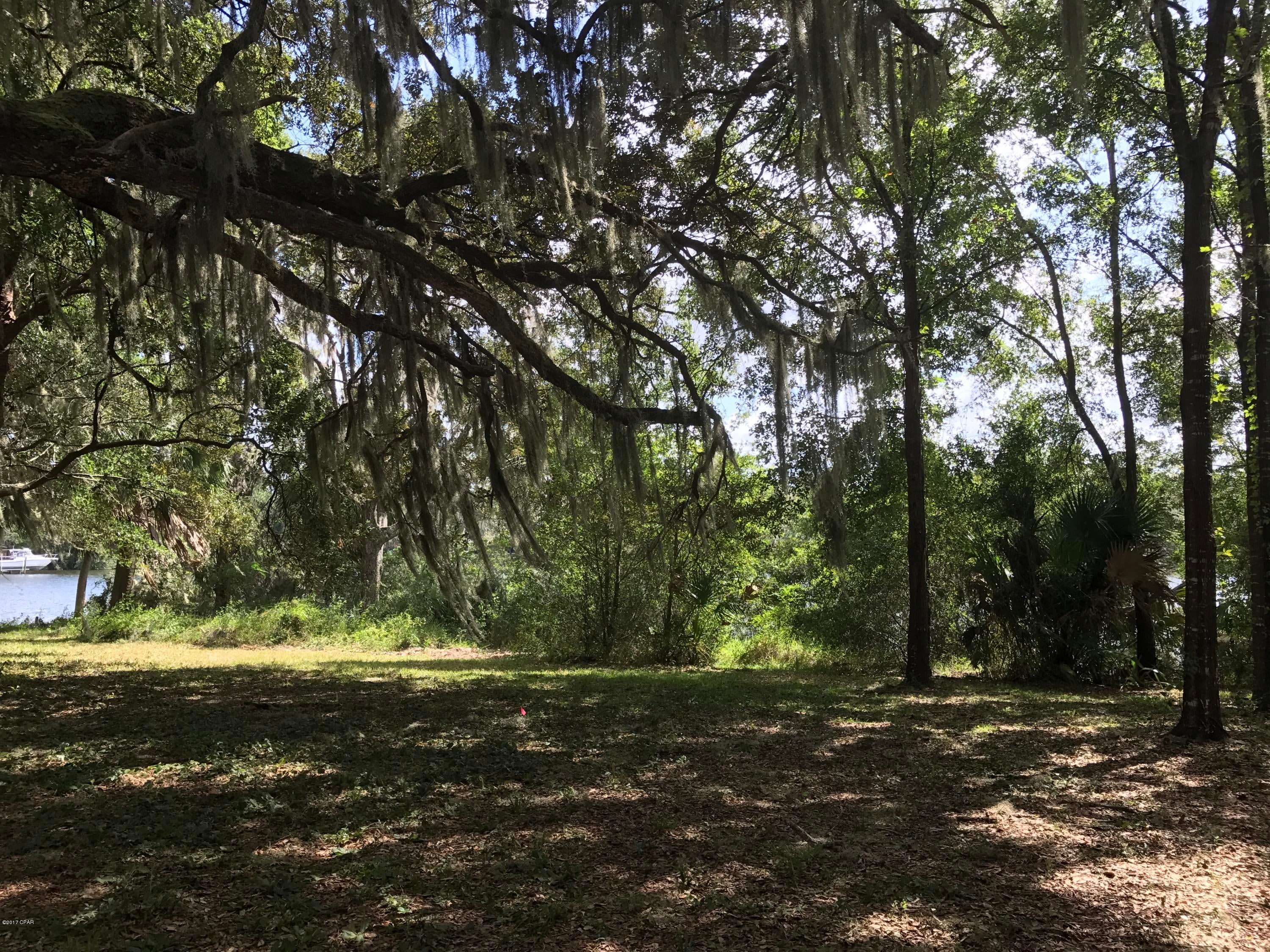 Osceola Point - Land