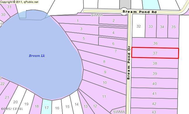 Bream Pond - Land