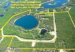 Bream Pond - Land
