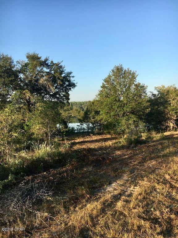 Bream Pond - Land