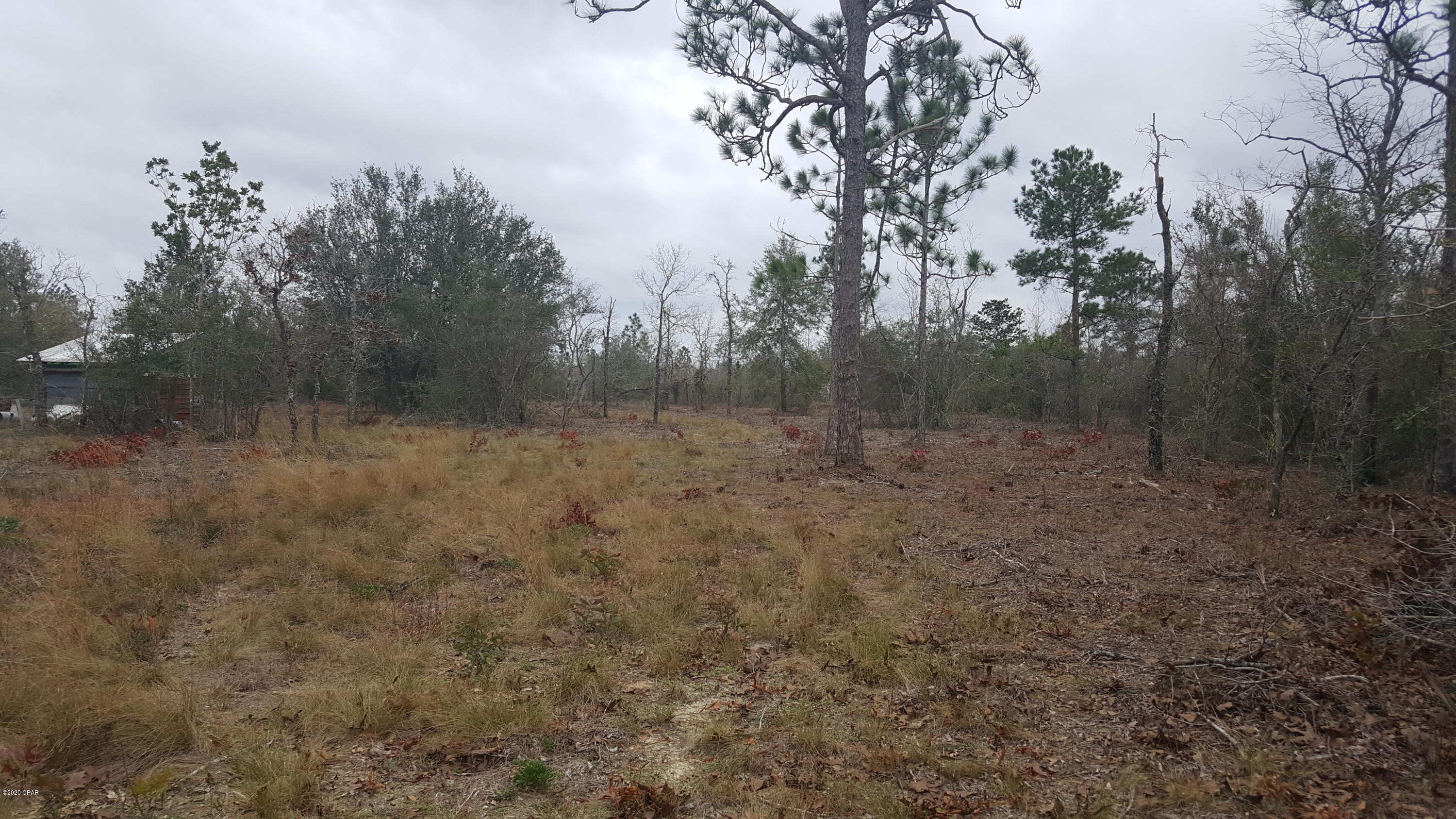 Buckhorn Creek - Land