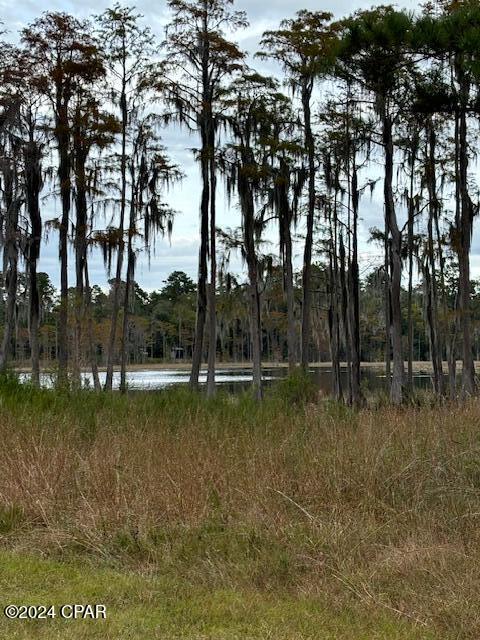 Beautiful Lake front lot on private lake, Enjoy over 2 acres on this beauty, The Bluegill Lake aka The Black Hole which is a private lake that the lot fronts on. Spring fed lake is beautiful and has access to the Large Lucas Lake. the lots are nice and level, perfect to build a house on. Come check it out! Priced to sell.